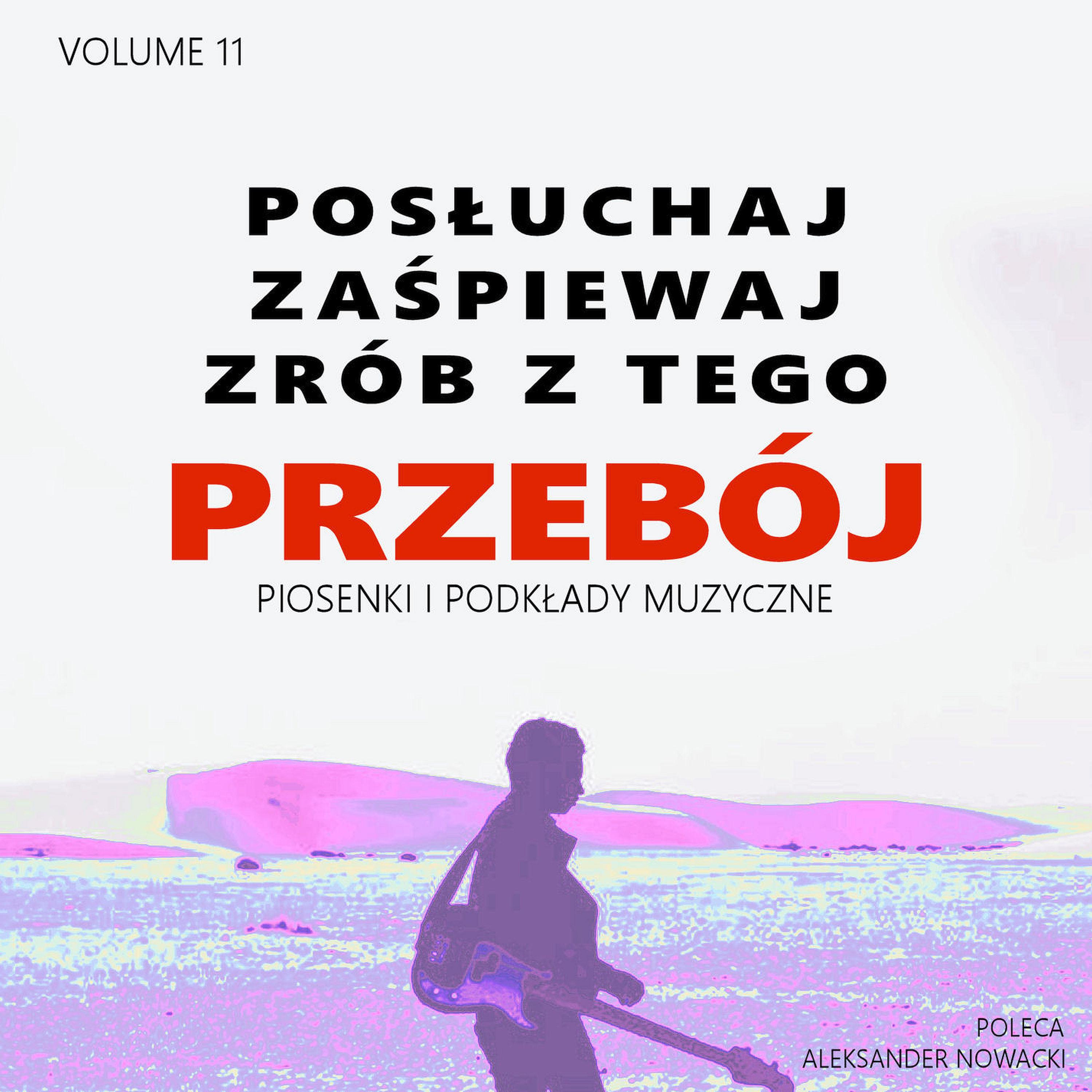Постер альбома Posłuchaj zaśpiewaj zrób z tego Przebój, Vol. 11