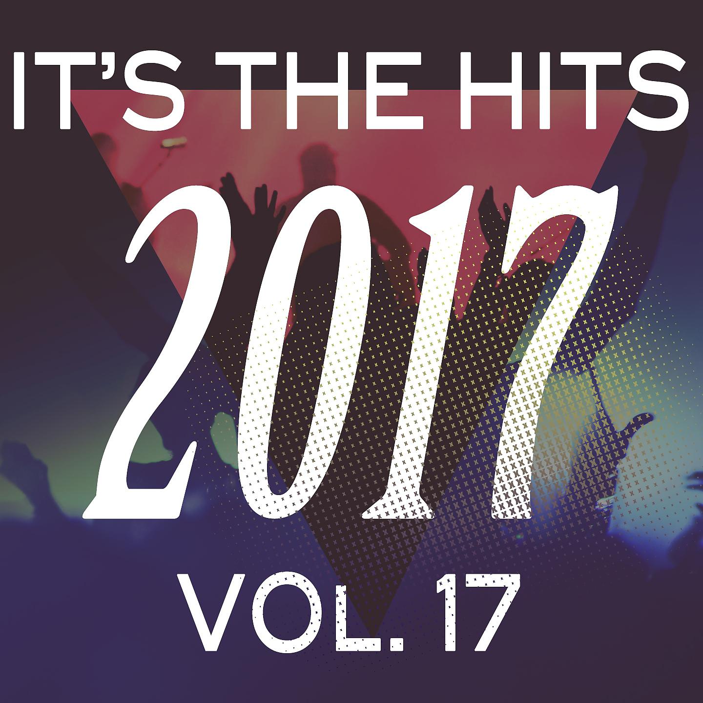 Постер альбома It's the Hits! 2017, Vol.17