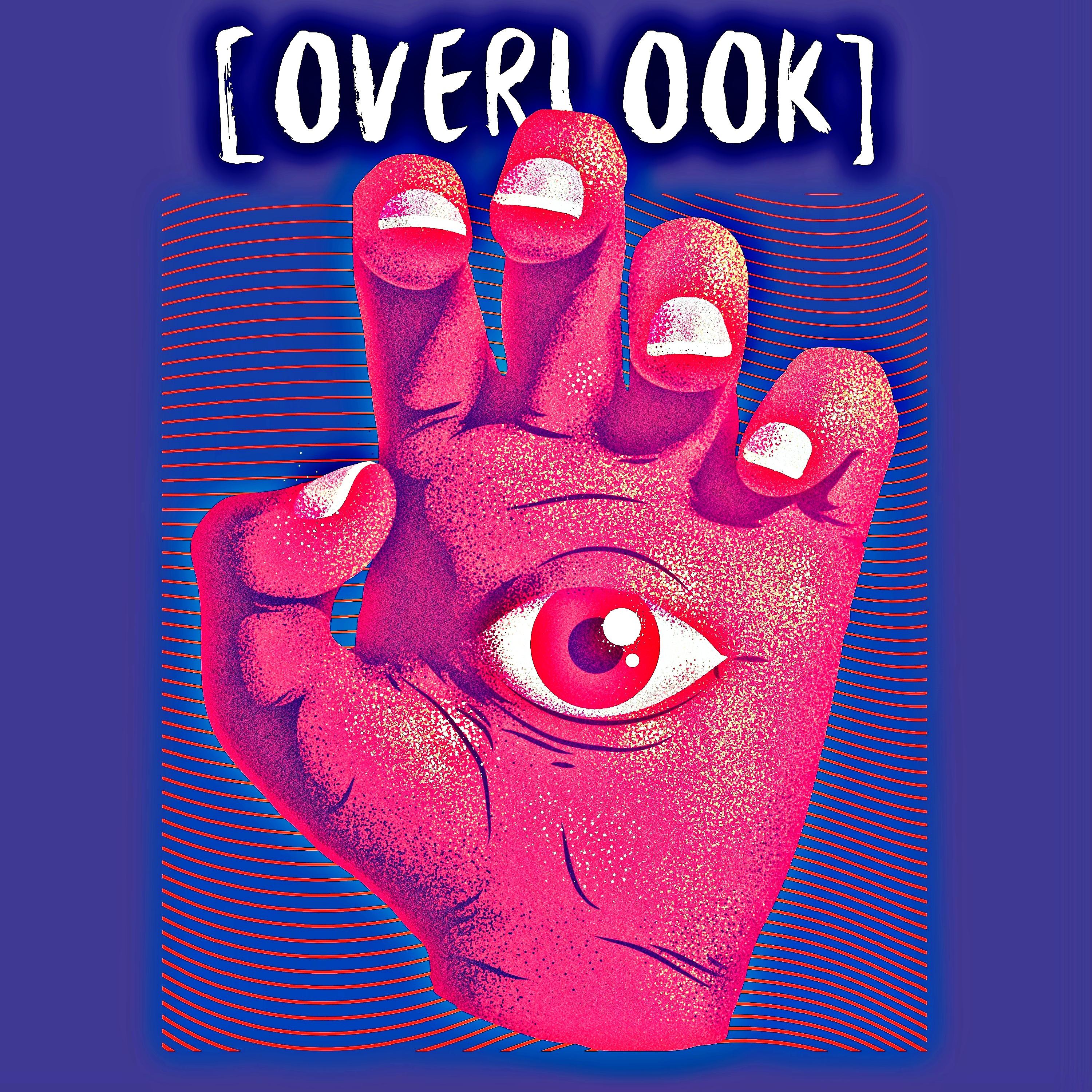 Постер альбома Overlook