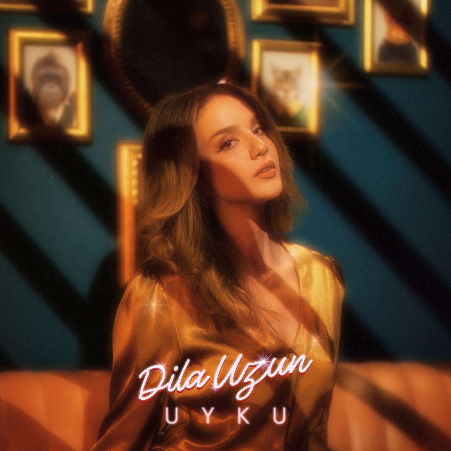 Постер альбома Uyku