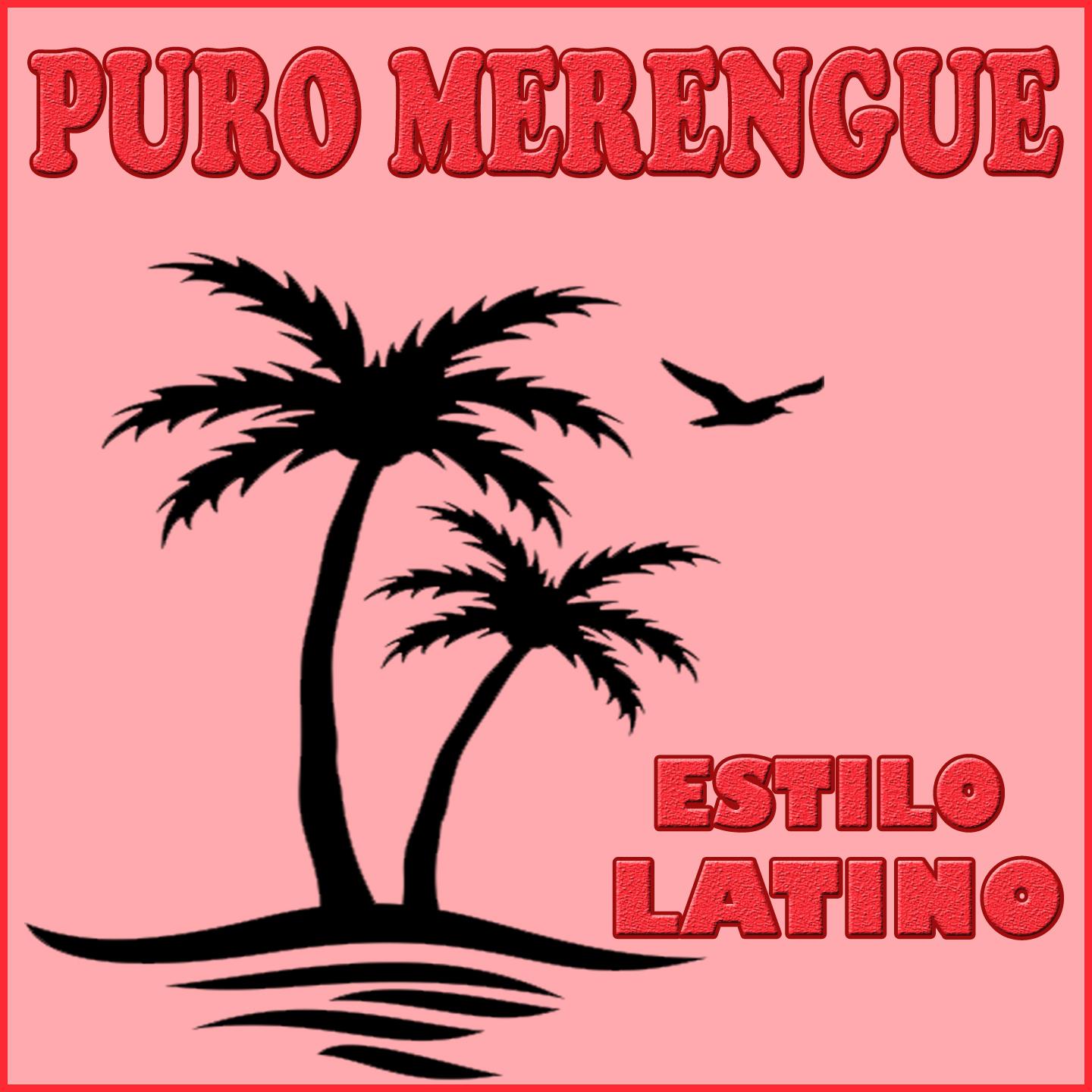Постер альбома Estilo Latino, Puro Merengue