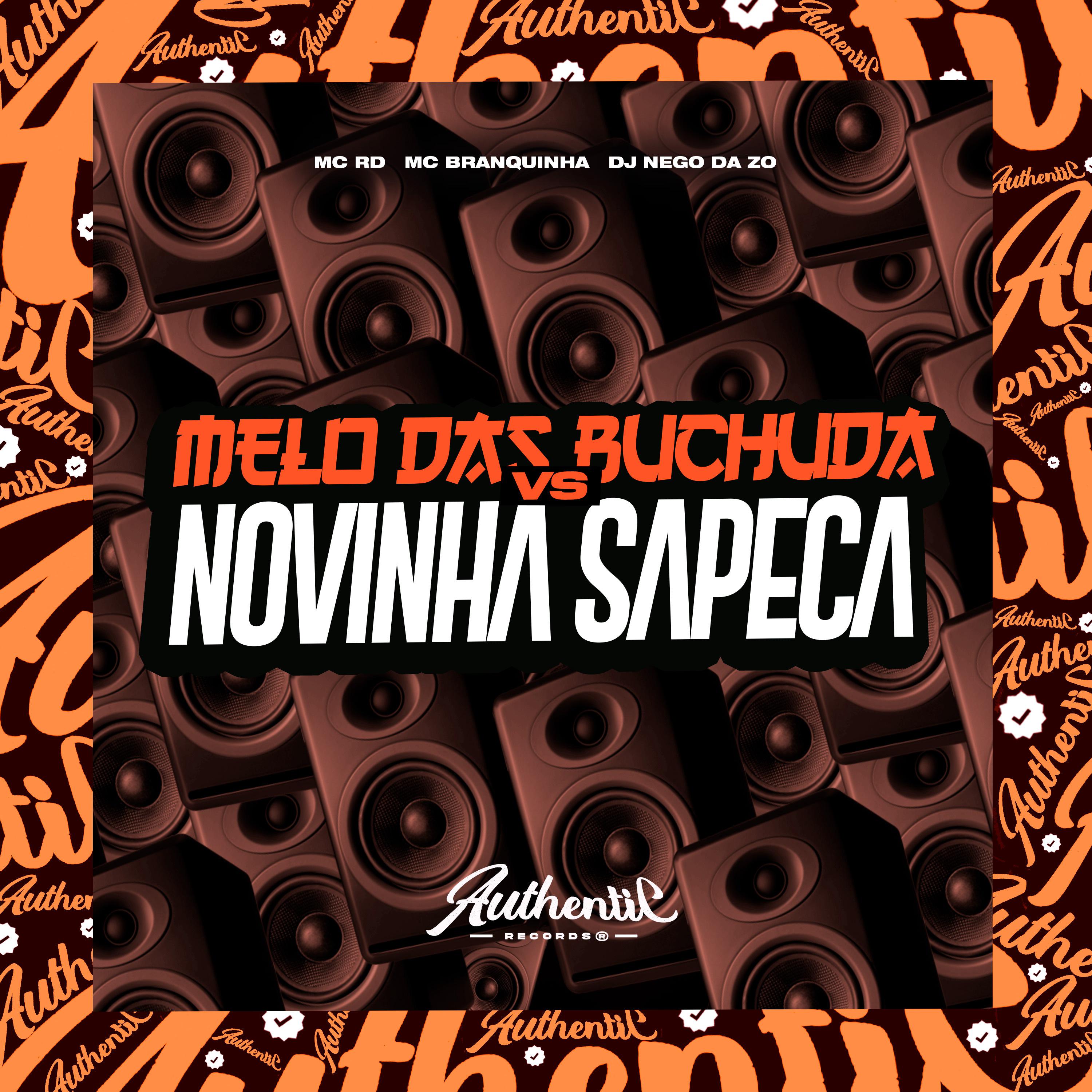 Постер альбома Melo das Buchuda Vs Novinha Sapeca