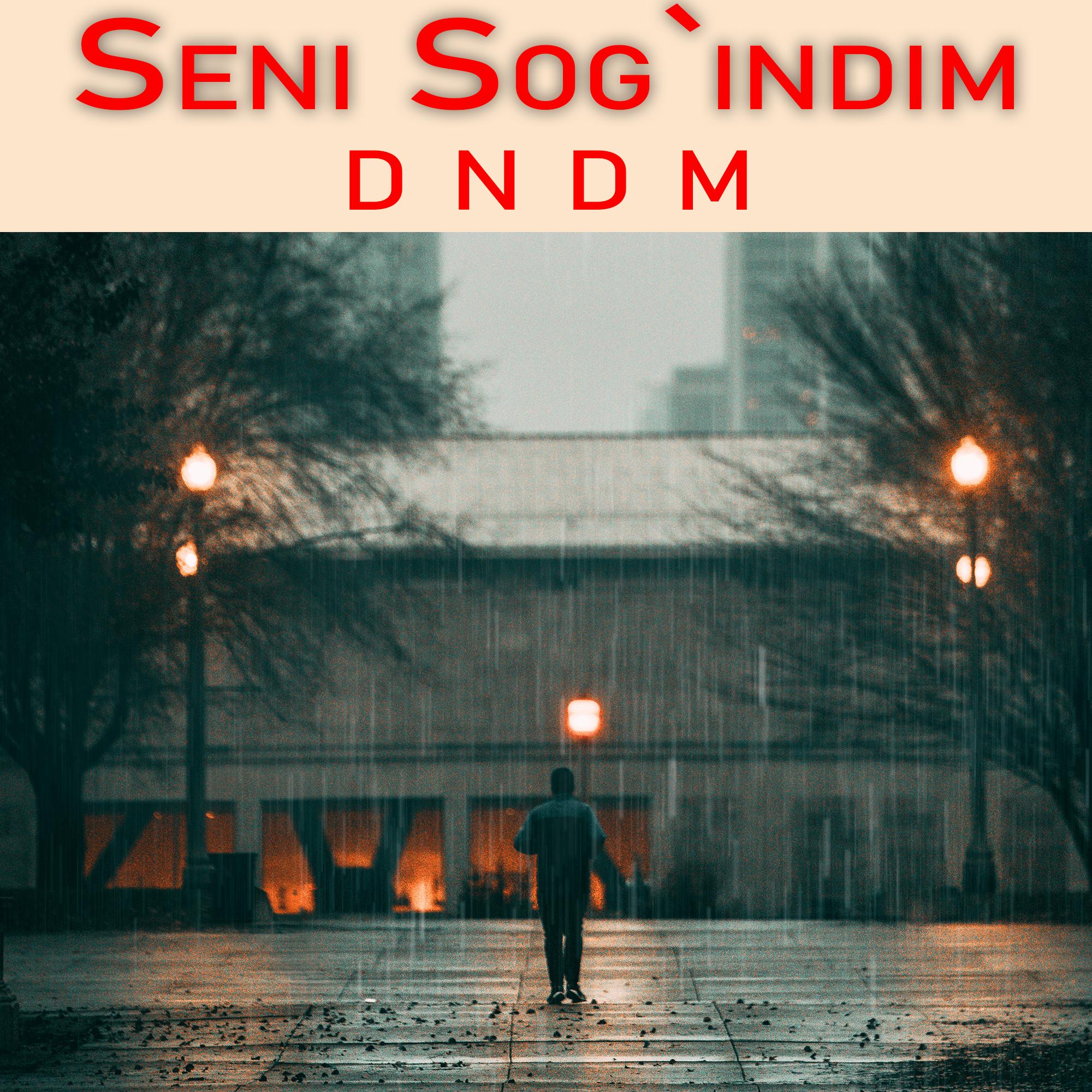 Постер альбома Seni Sog'indim
