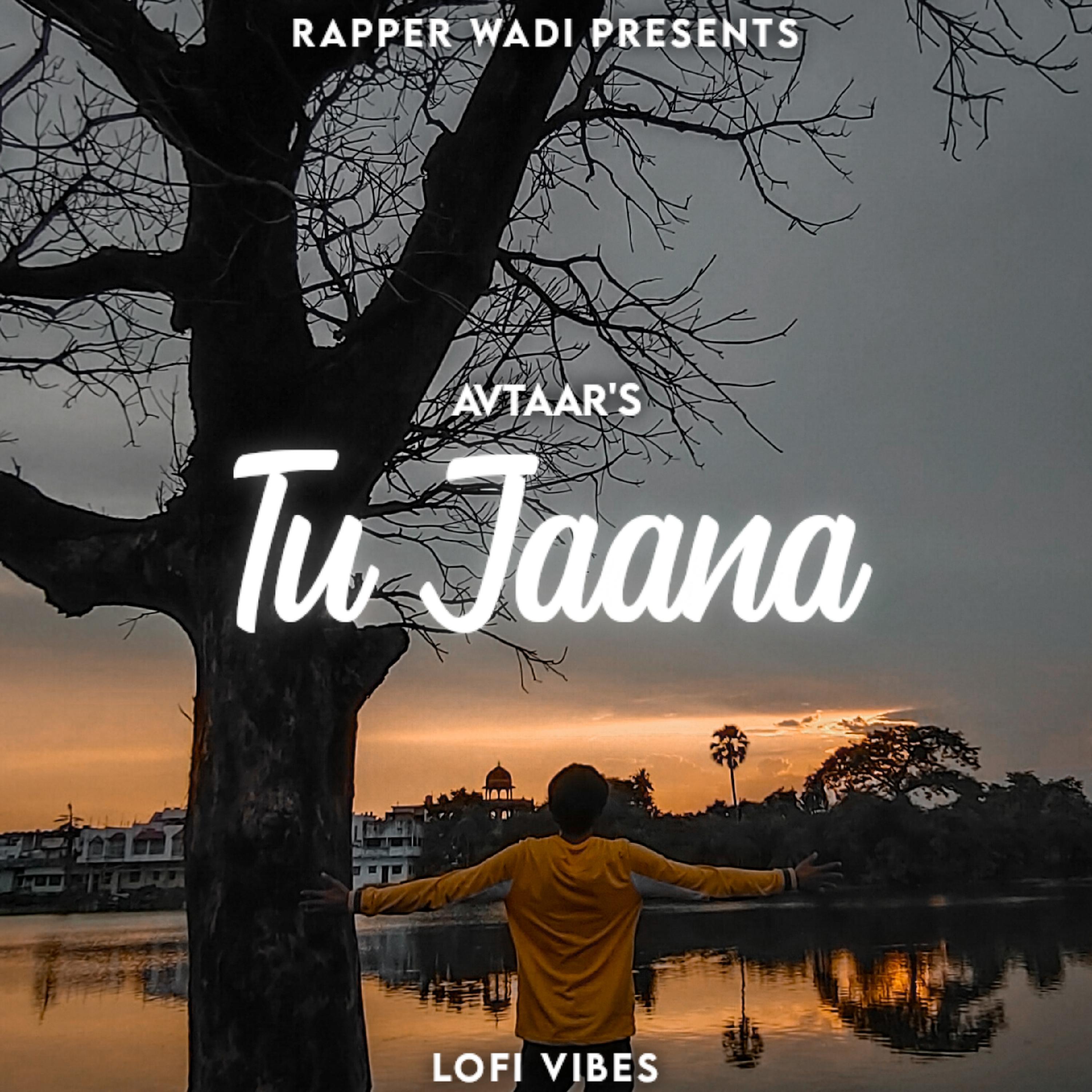Постер альбома Tu Jaana