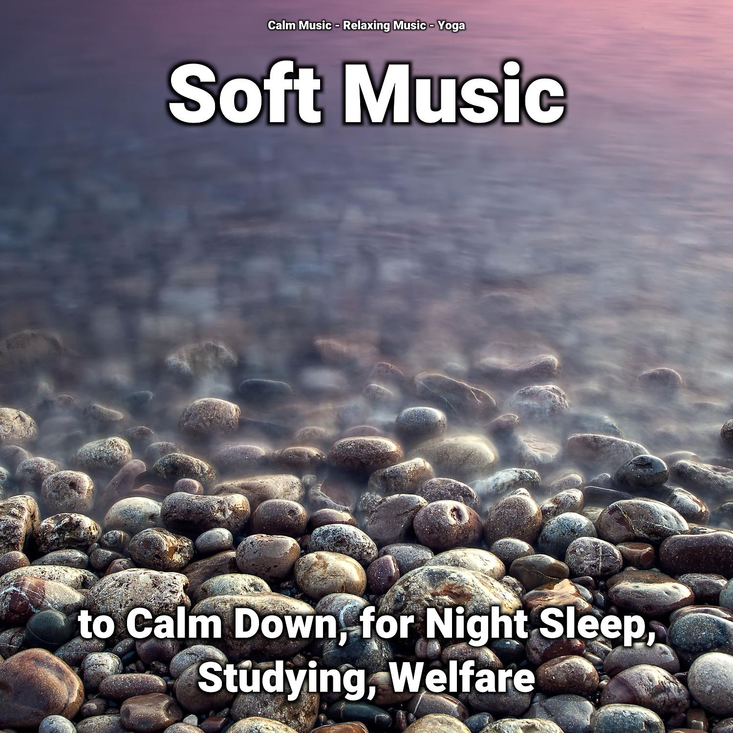 Постер альбома Soft Music to Calm Down, for Night Sleep, Studying, Welfare