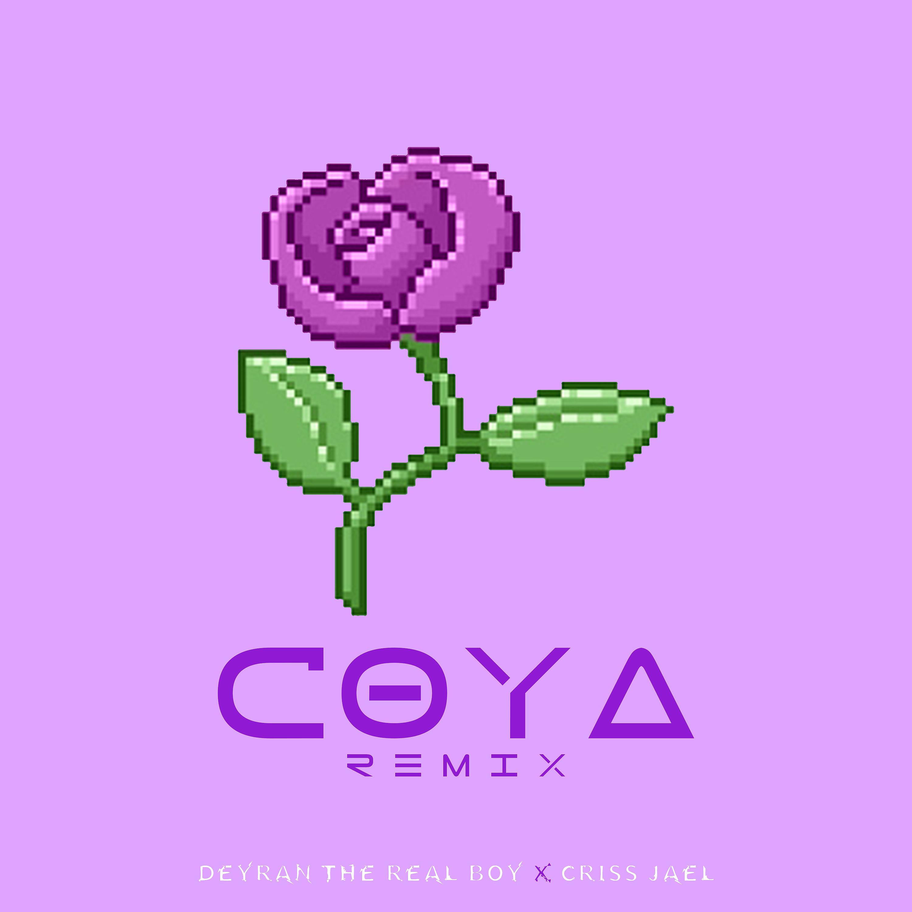 Постер альбома Coya