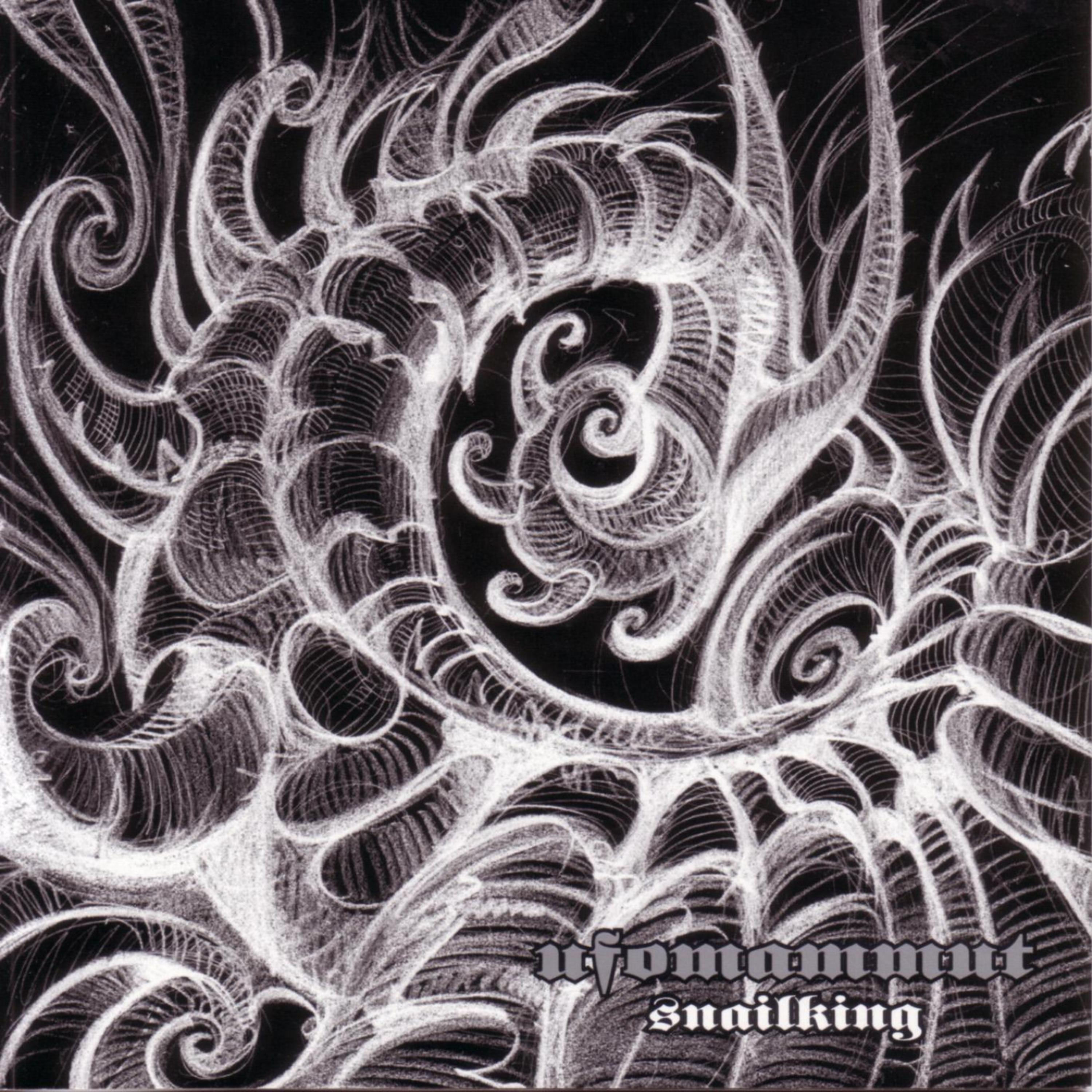 Постер альбома Snailking