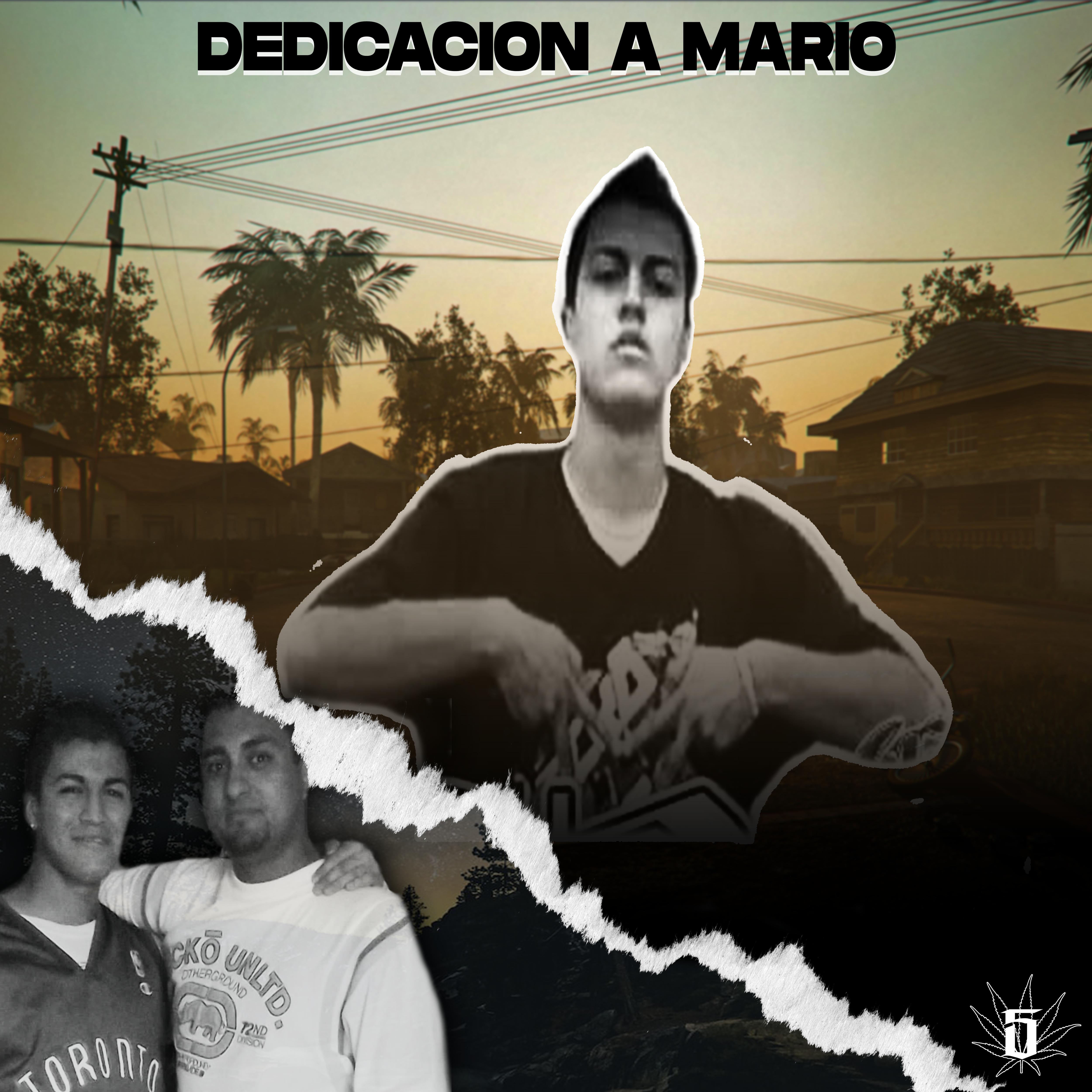 Постер альбома Dedicacion a Mario