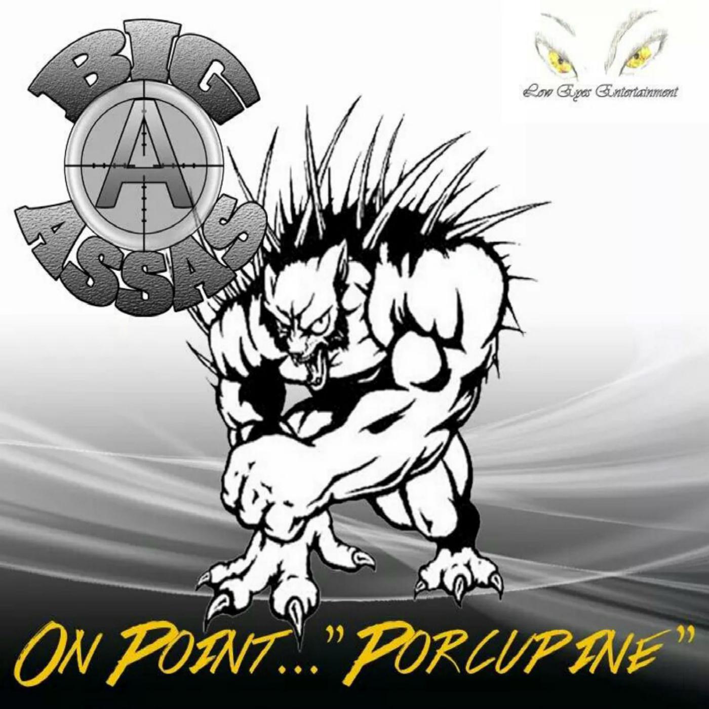 Постер альбома On Point - Porcupine