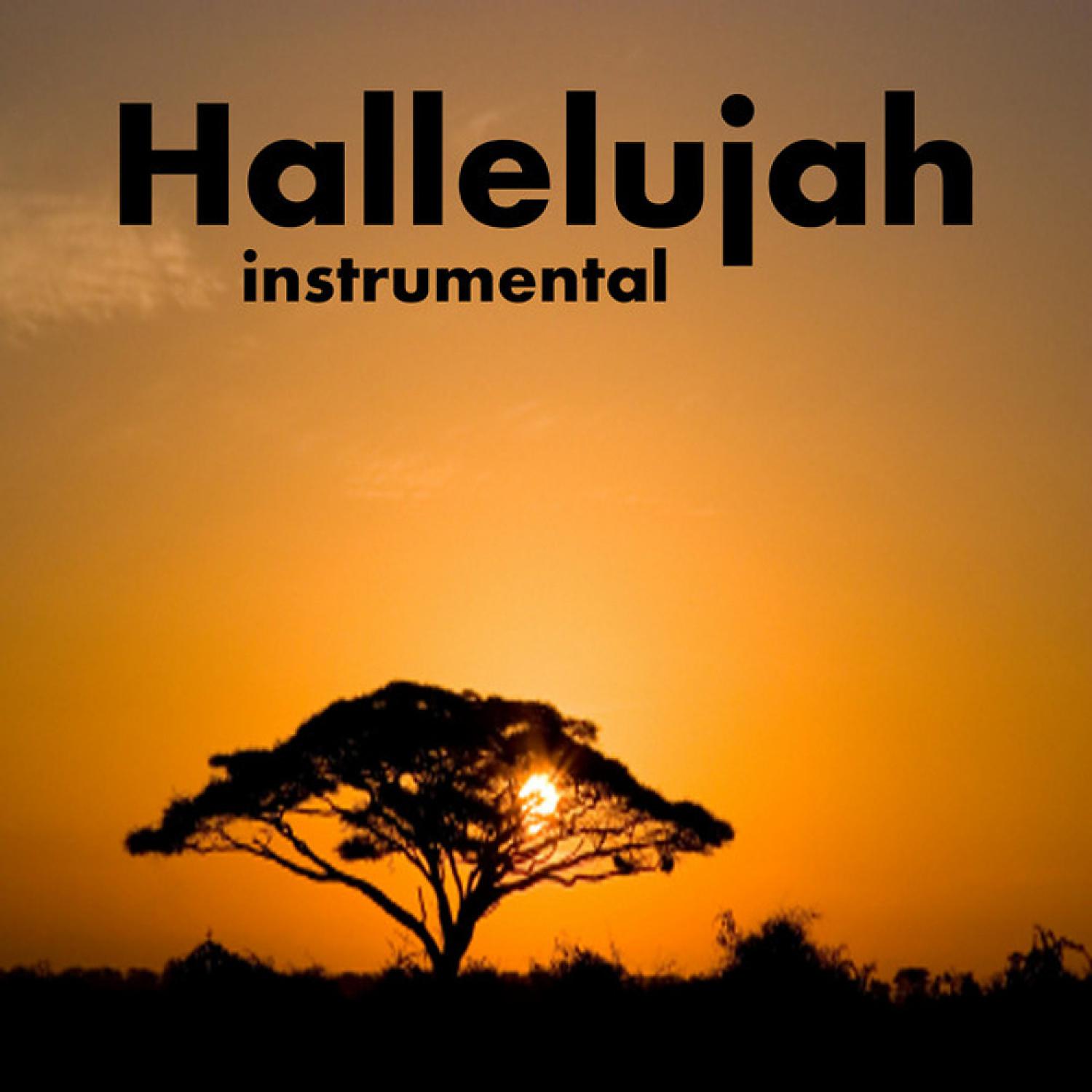 Постер альбома Hallelujah: Instrumental Song