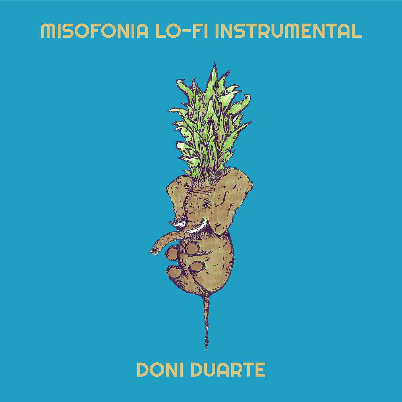 Постер альбома Misofonia Lo-Fi Instrumental