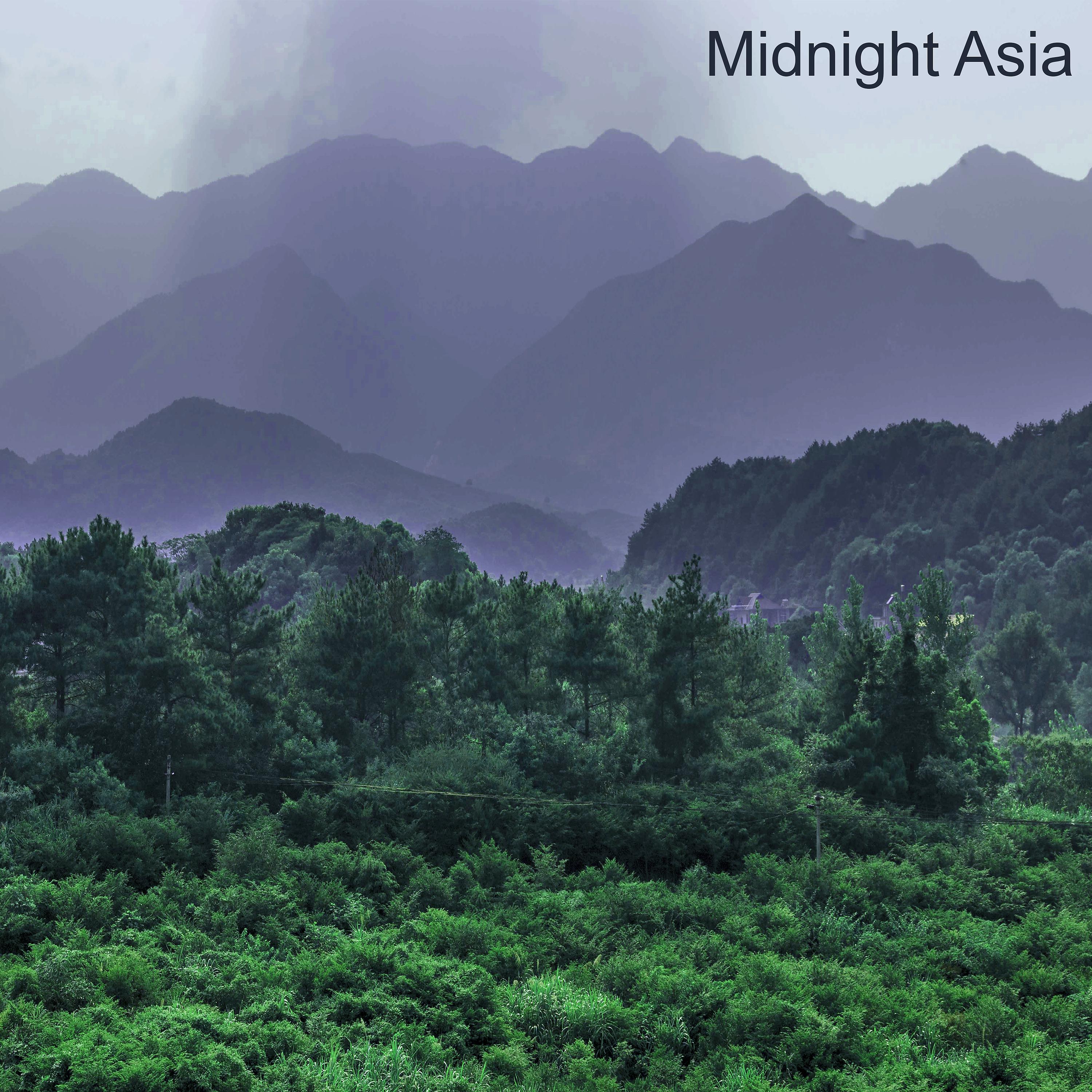 Постер альбома Midnight Asia
