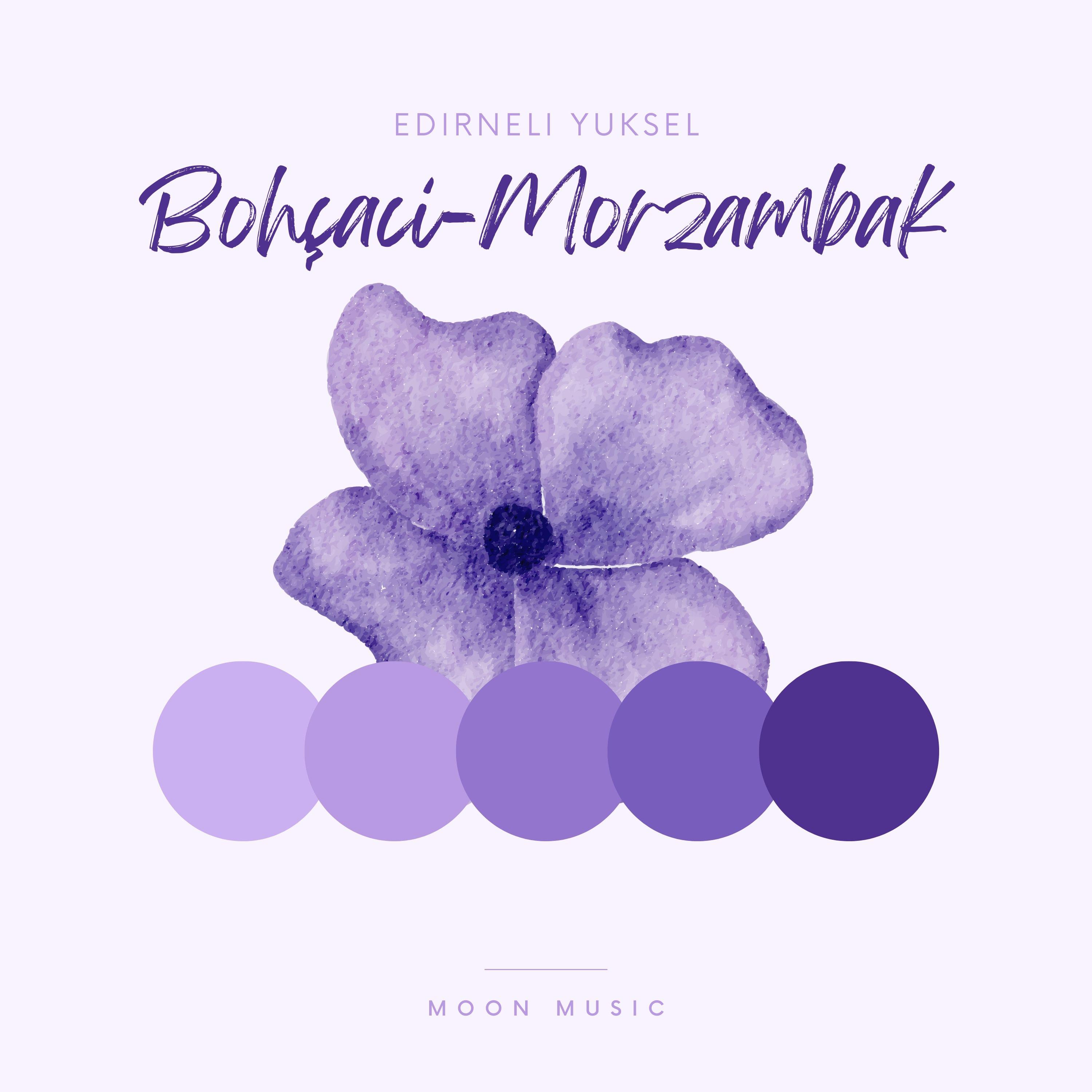 Постер альбома Bohçacı -Mor Zambak