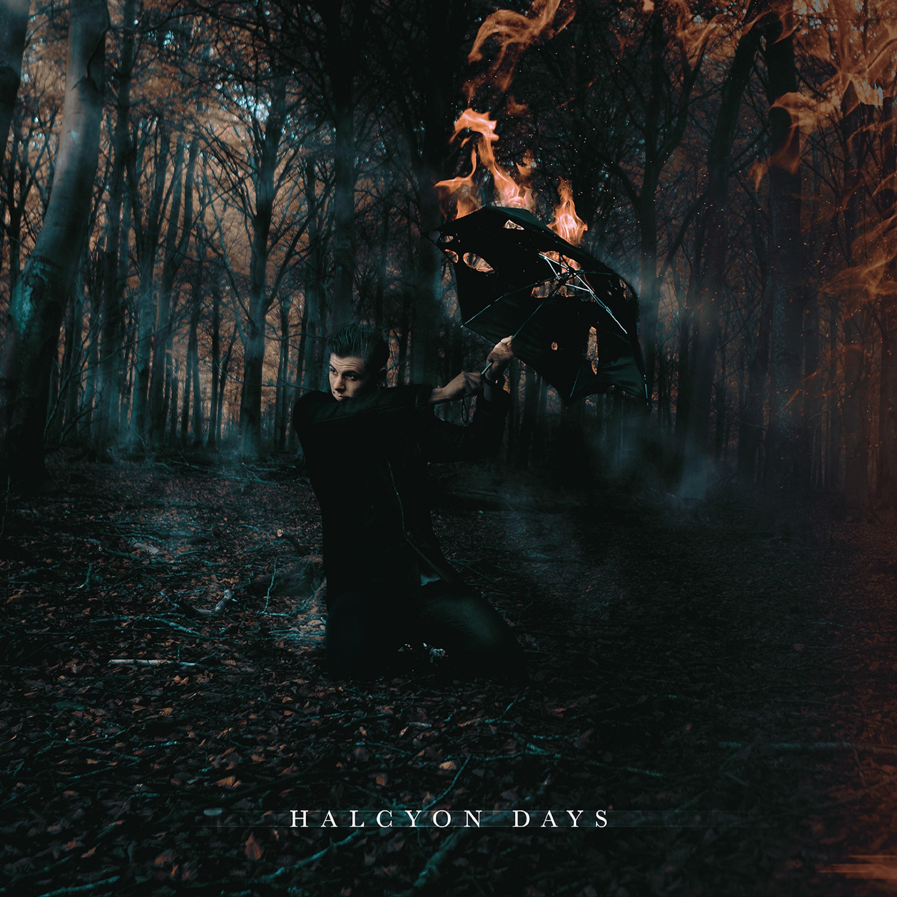 Постер альбома Halcyon Days