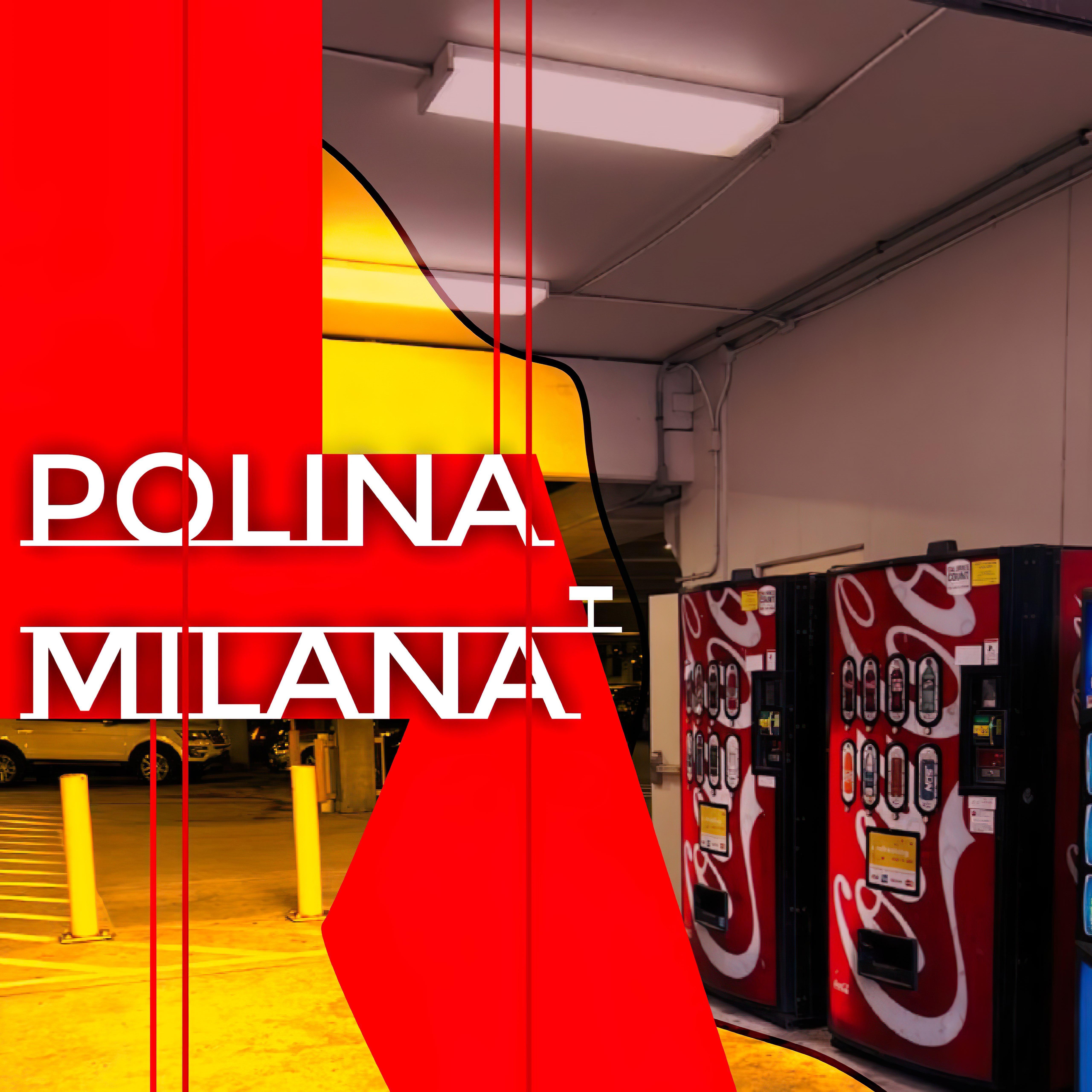 Постер альбома Polina-Milana