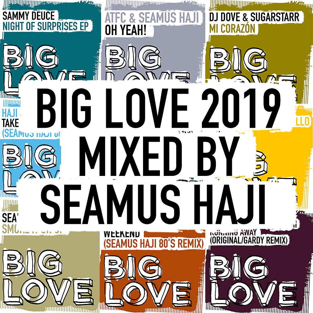 Постер альбома Big Love 2019 Mixed By Seamus Haji