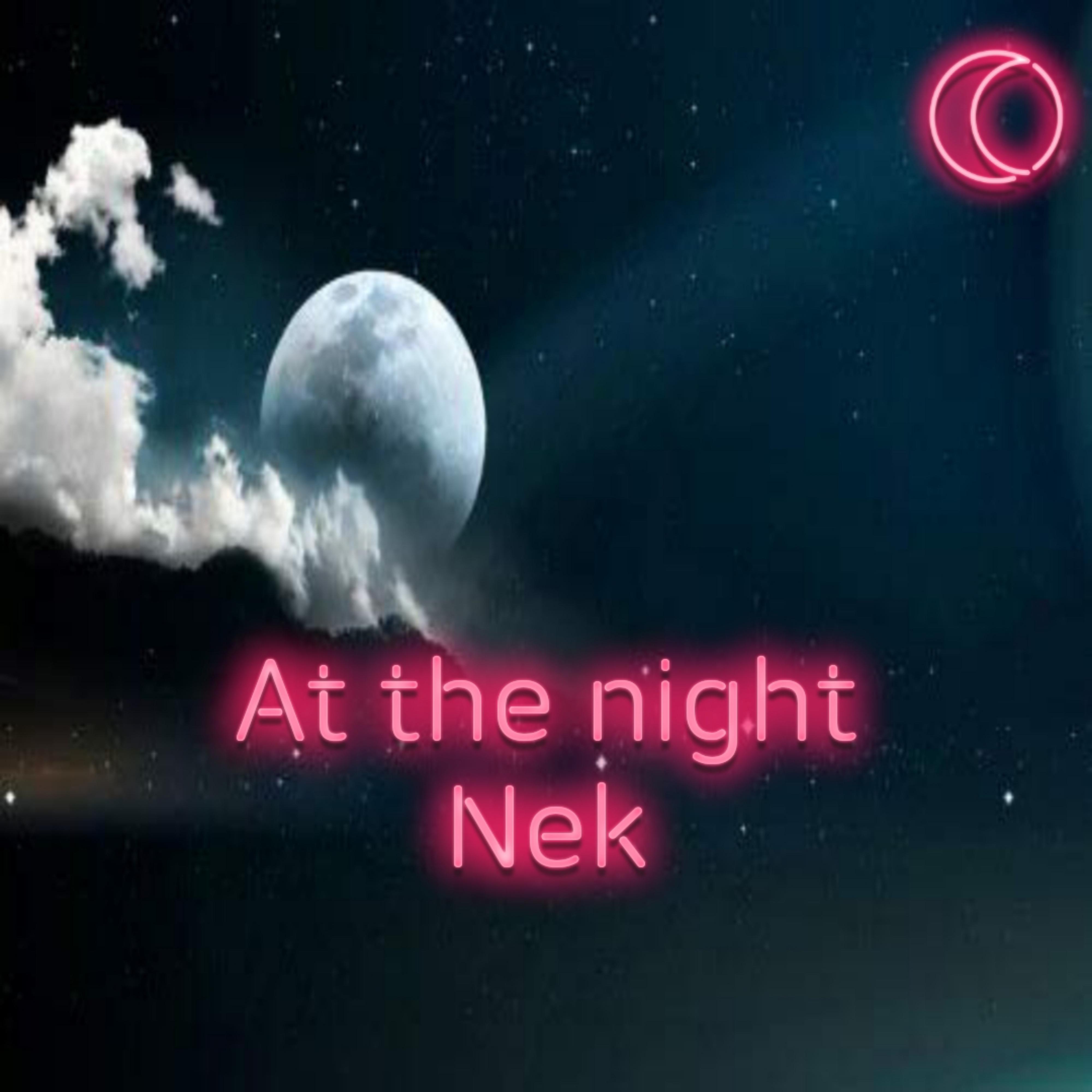 Постер альбома At the Night