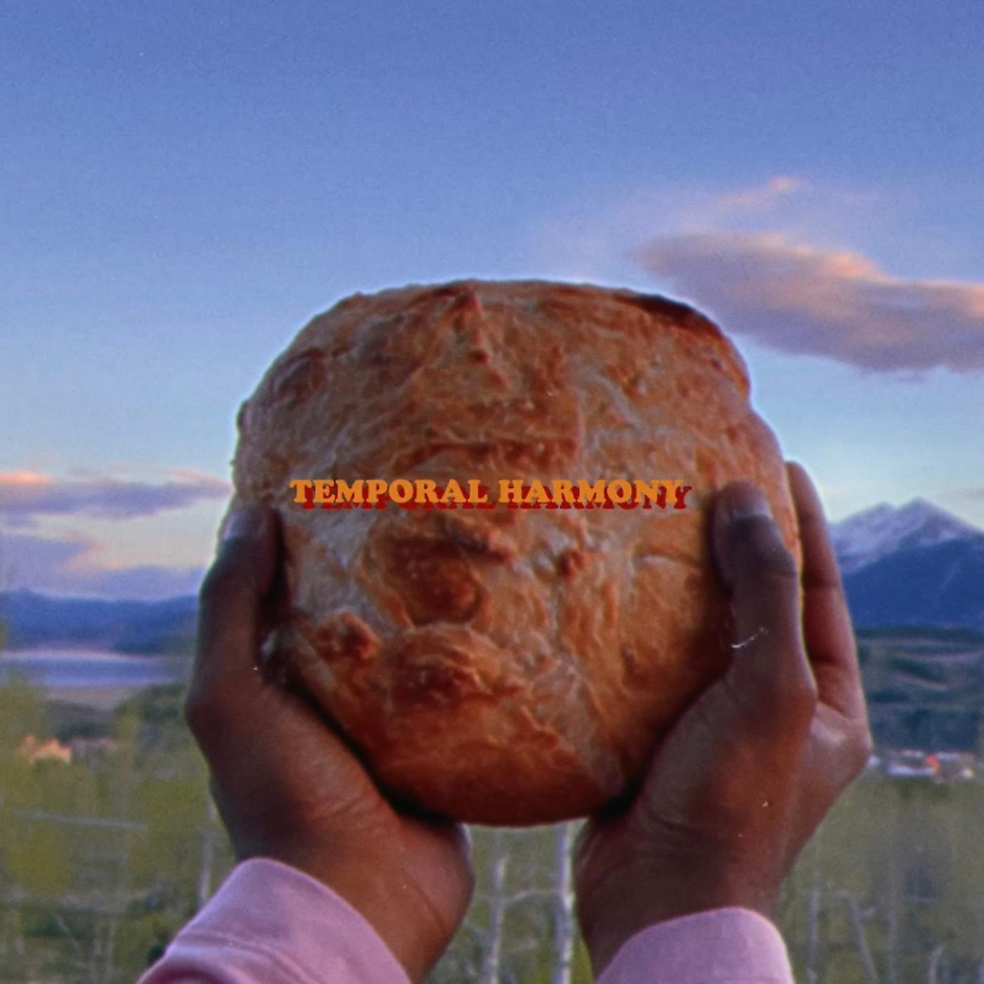 Постер альбома Temporal Harmony
