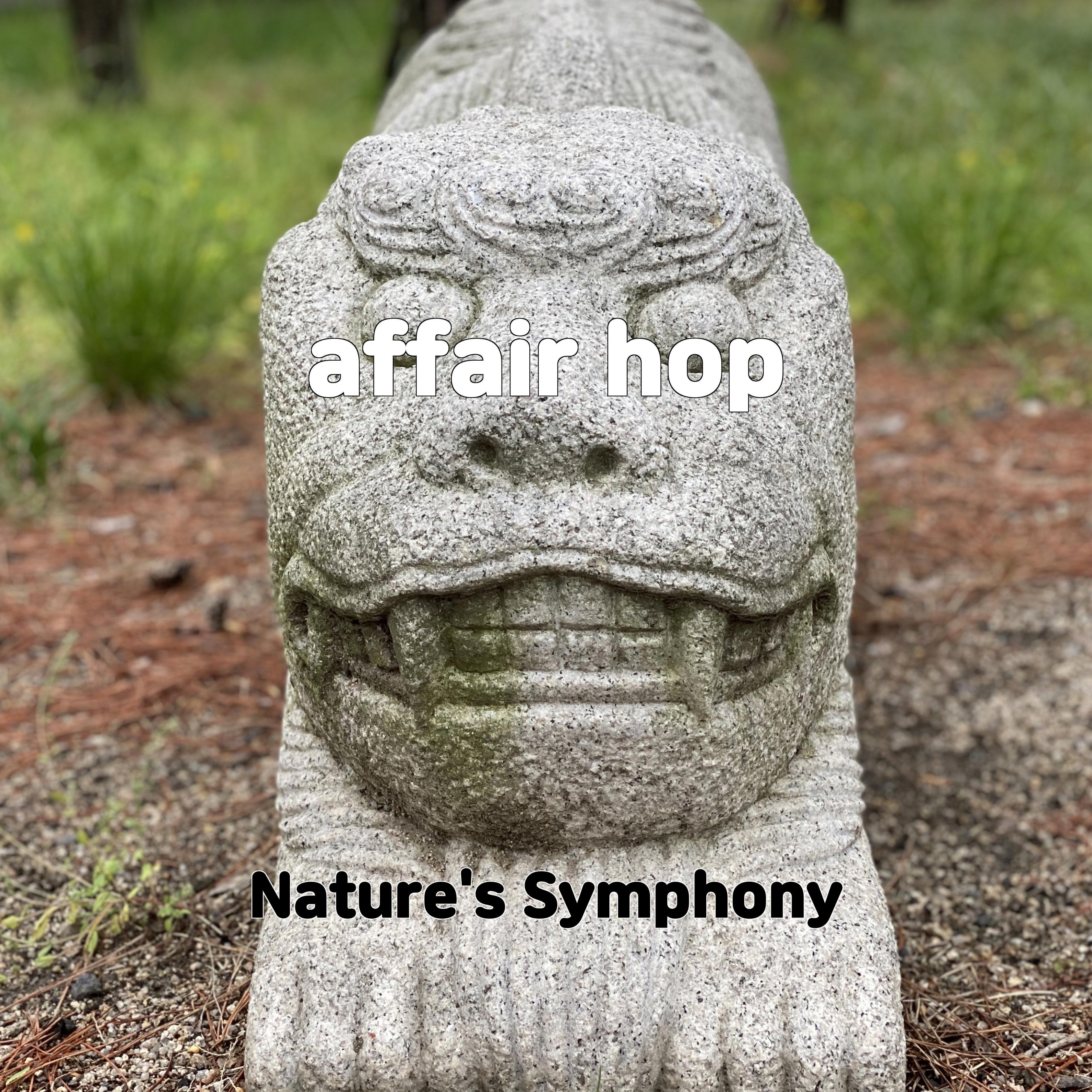 Постер альбома affair hop
