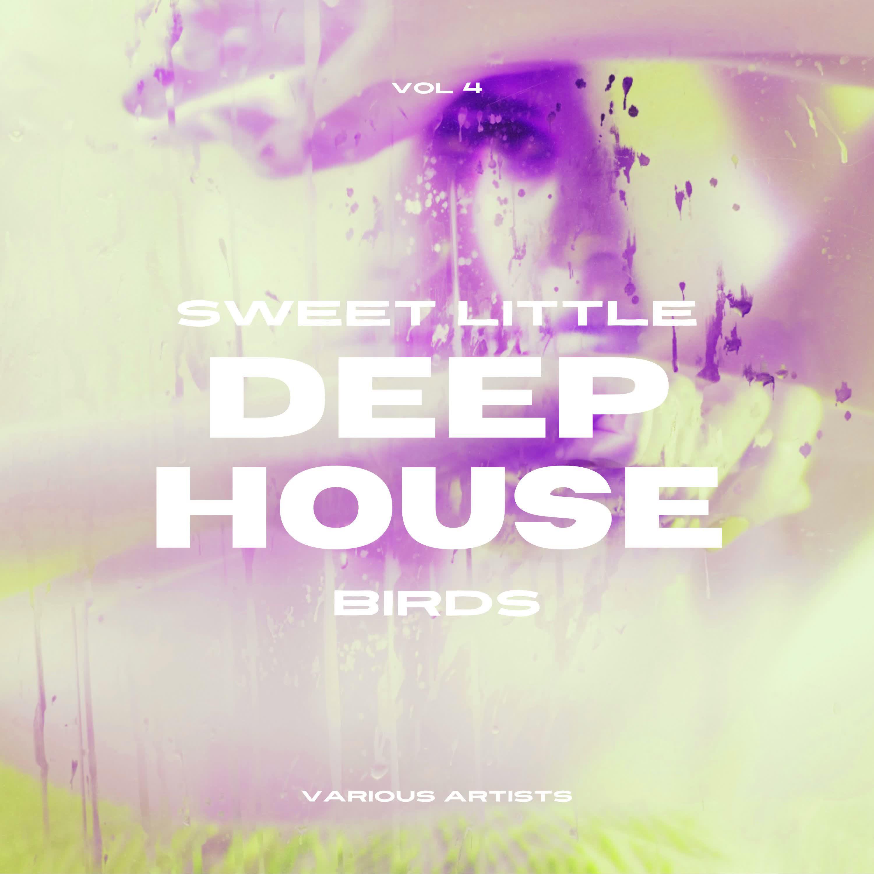 Постер альбома Sweet Little Deep-House Birds, Vol. 4
