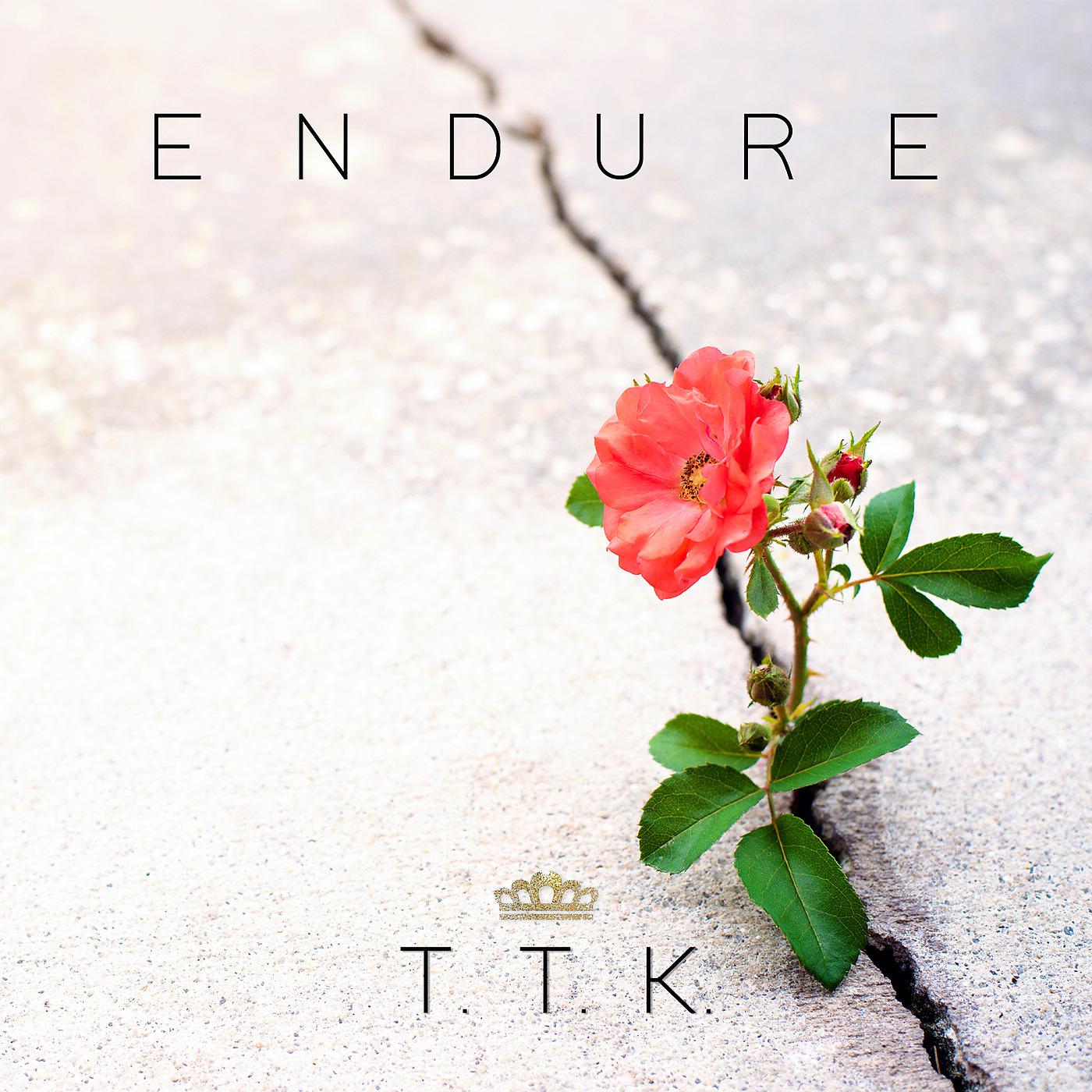 Постер альбома Endure