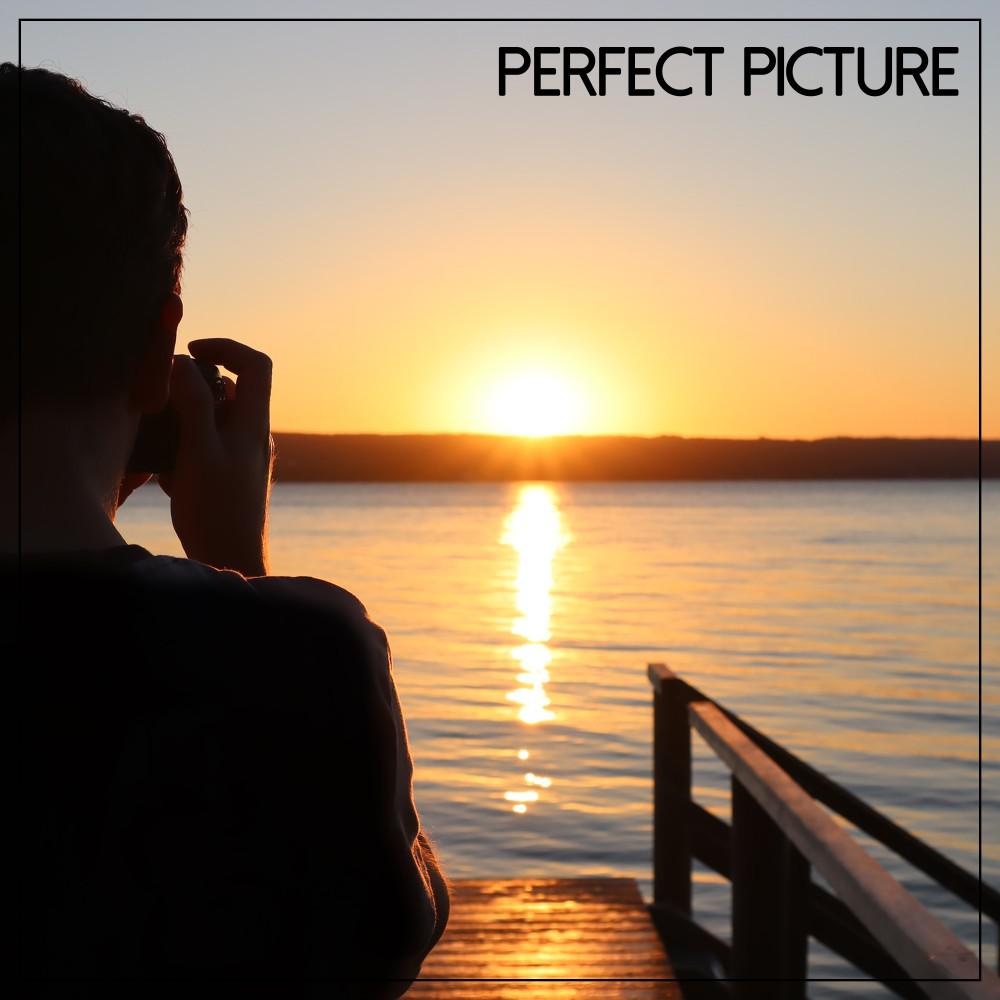 Постер альбома Perfect Picture