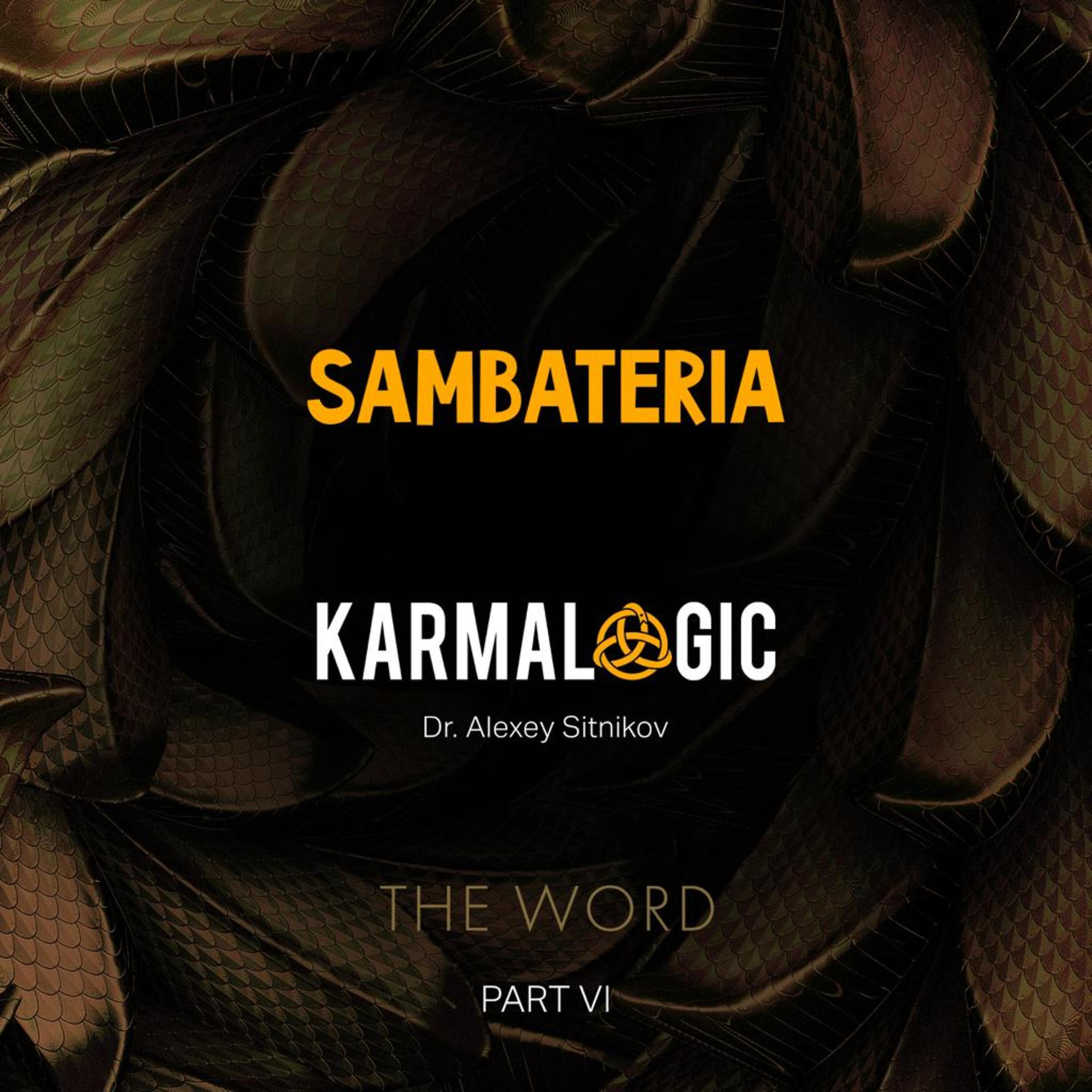 Постер альбома Karmalogic the Word (Part VI)