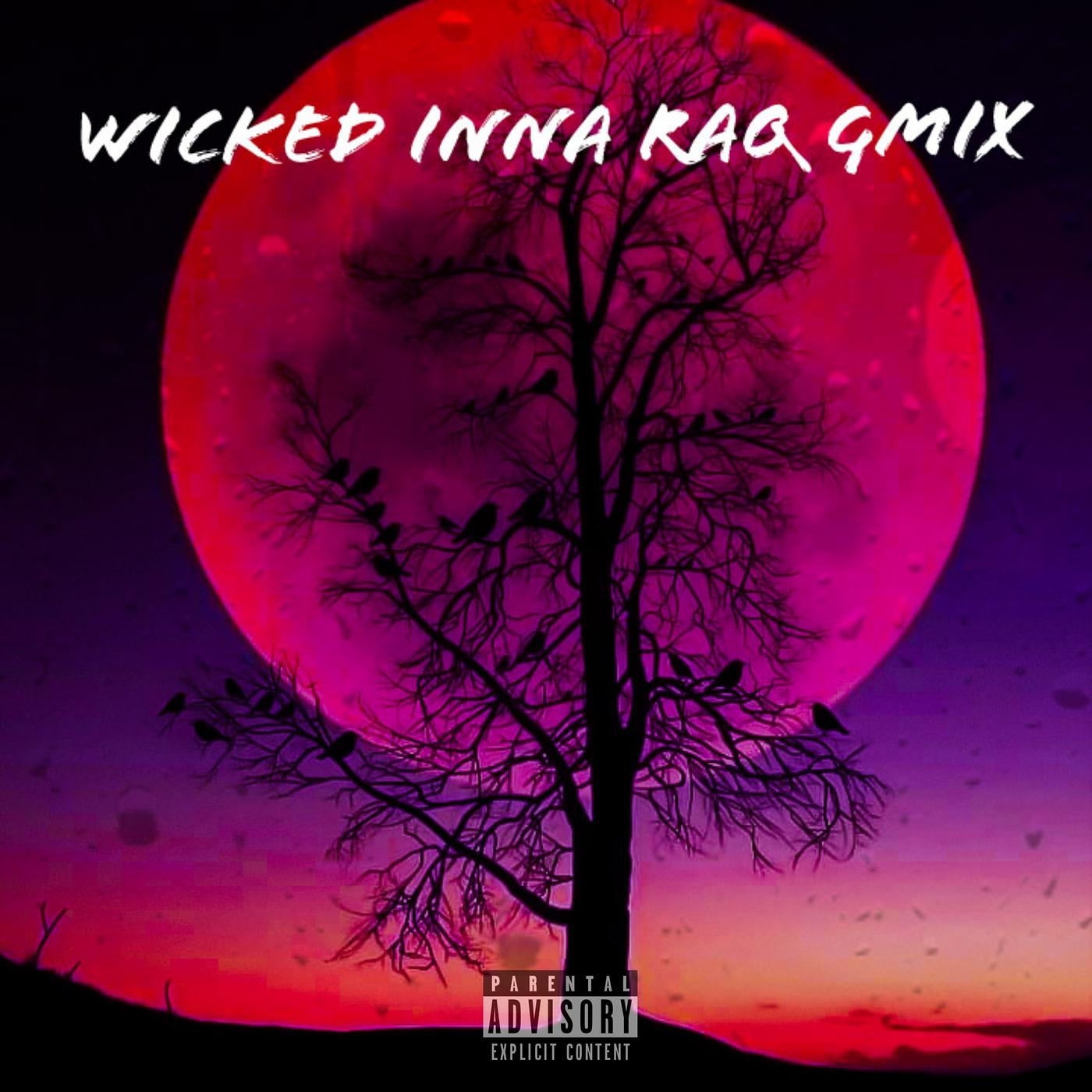 Постер альбома Wicked Inna RaQ Gmix