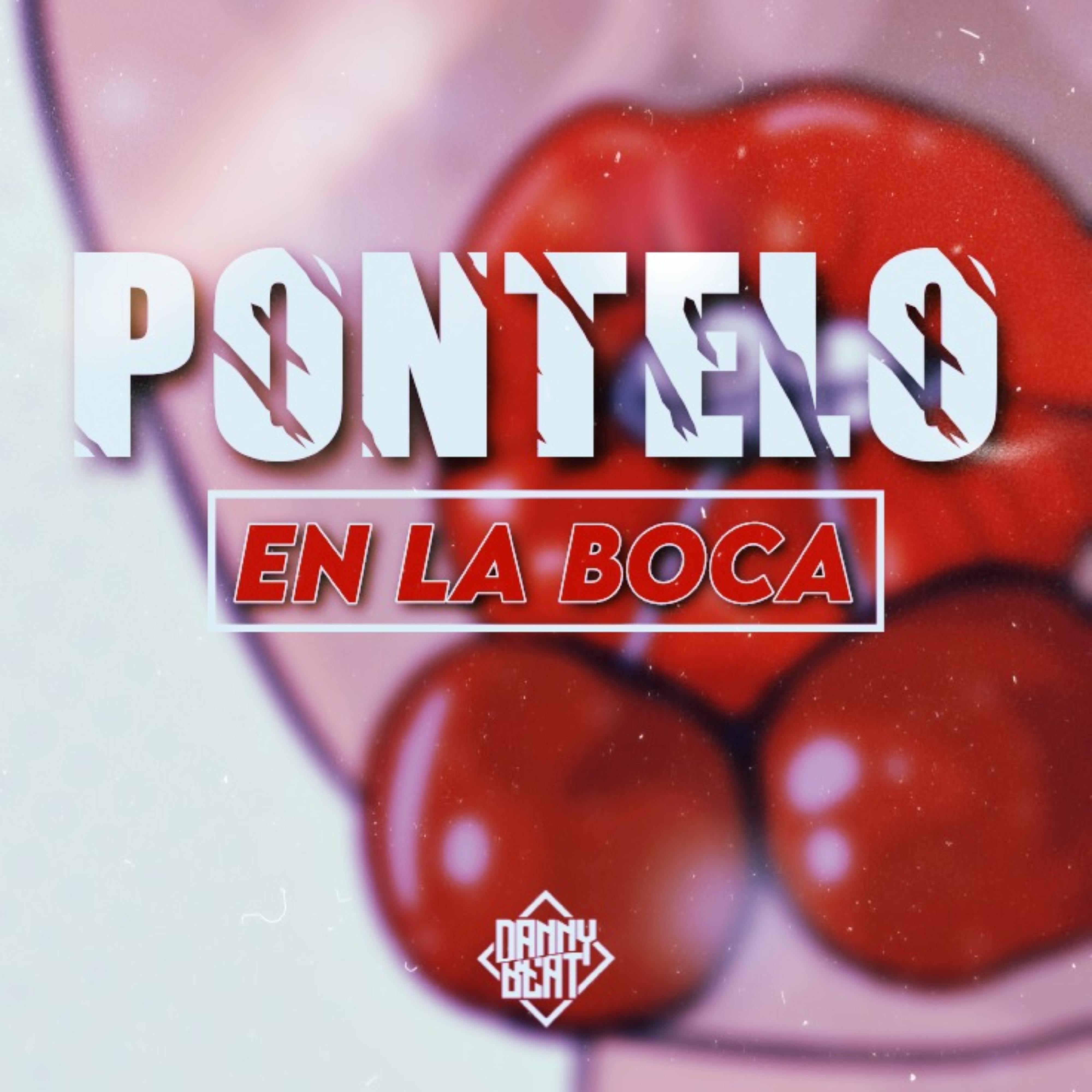 Постер альбома Pontelo En La Boca