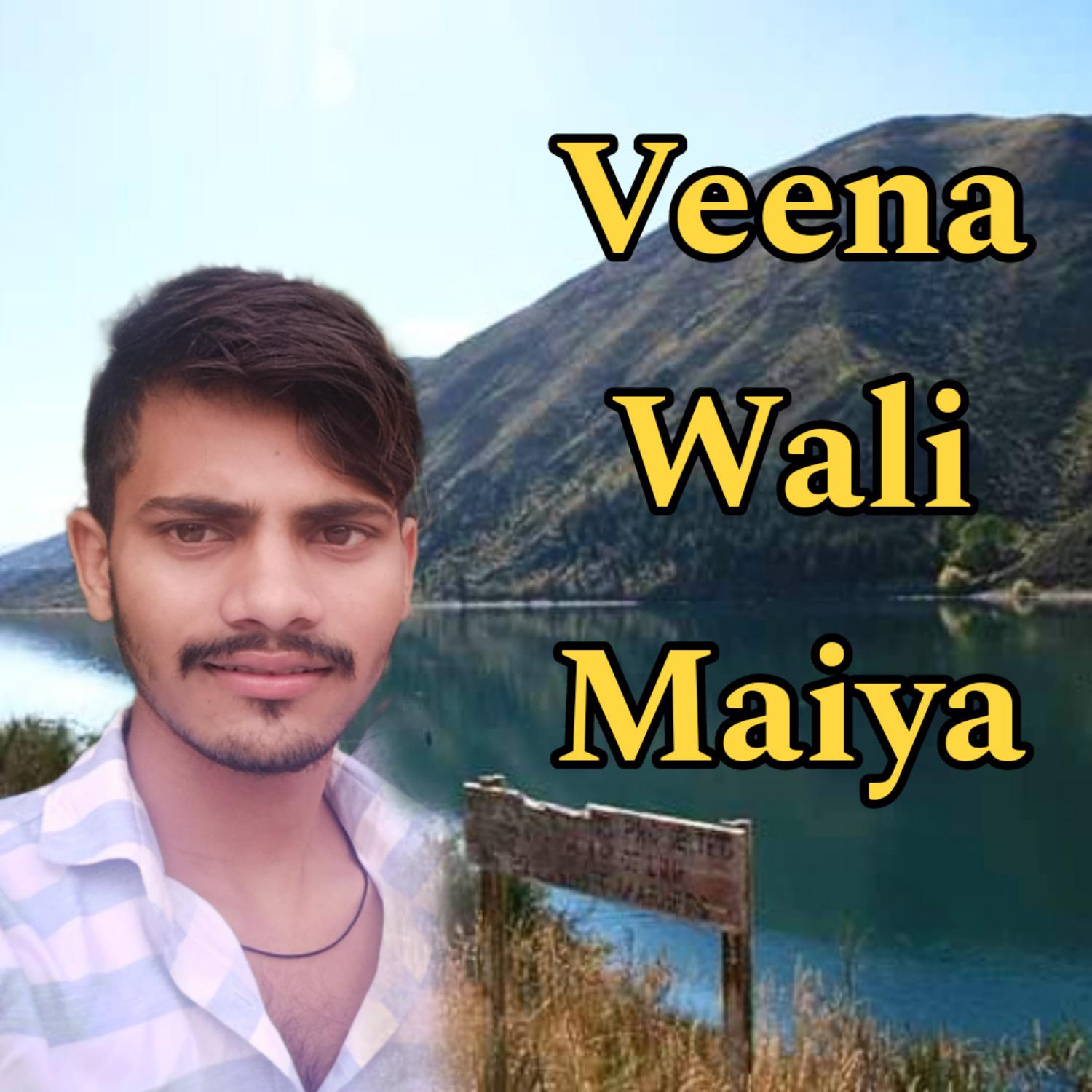 Постер альбома Veena Wali Maiya
