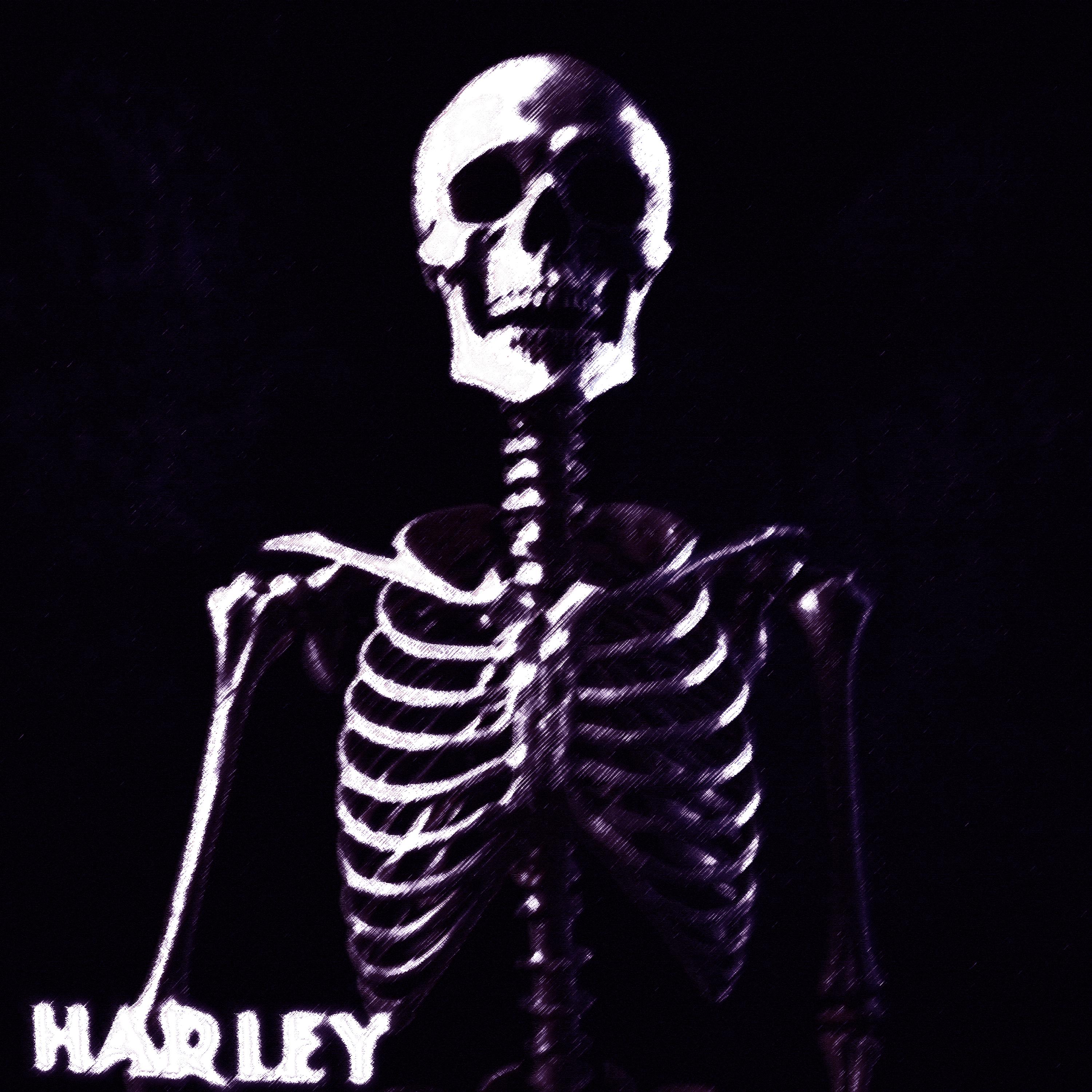 Постер альбома Harley