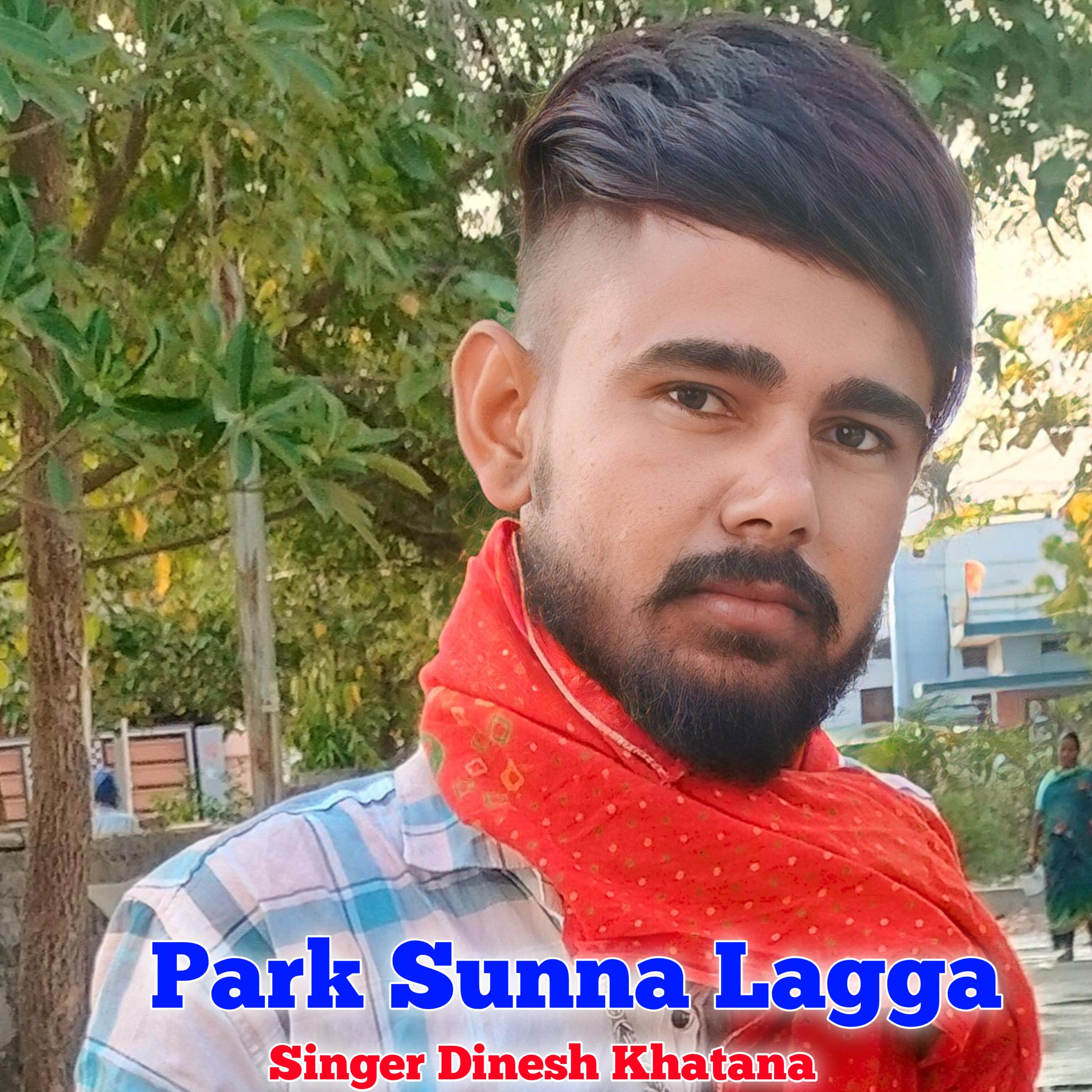 Постер альбома Park Sunna Lagga