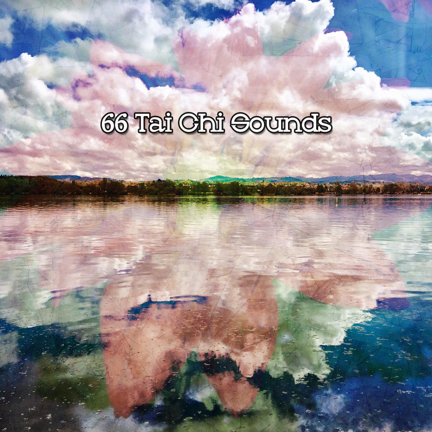 Постер альбома 66 Tai Chi Sounds