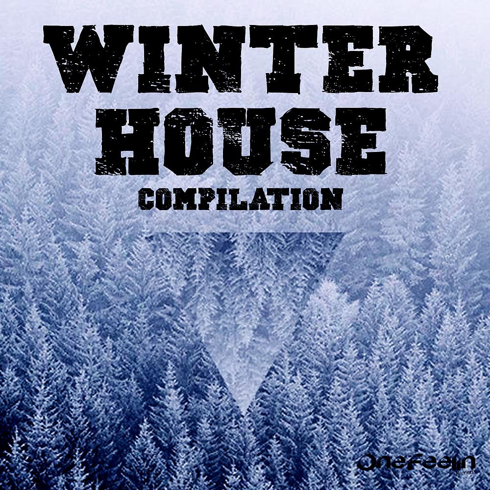 Постер альбома Winter House Compilation