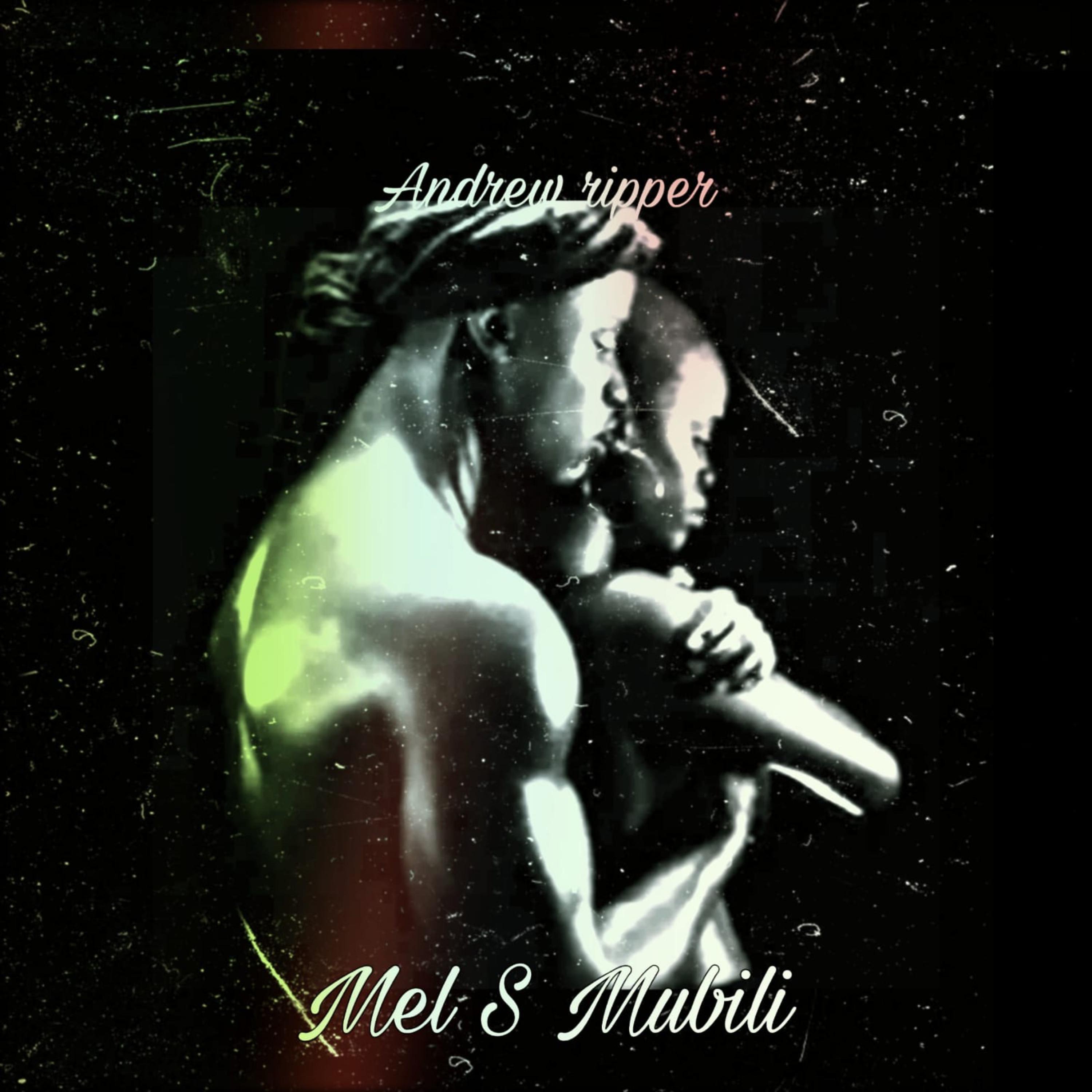 Постер альбома Mel S Mubili
