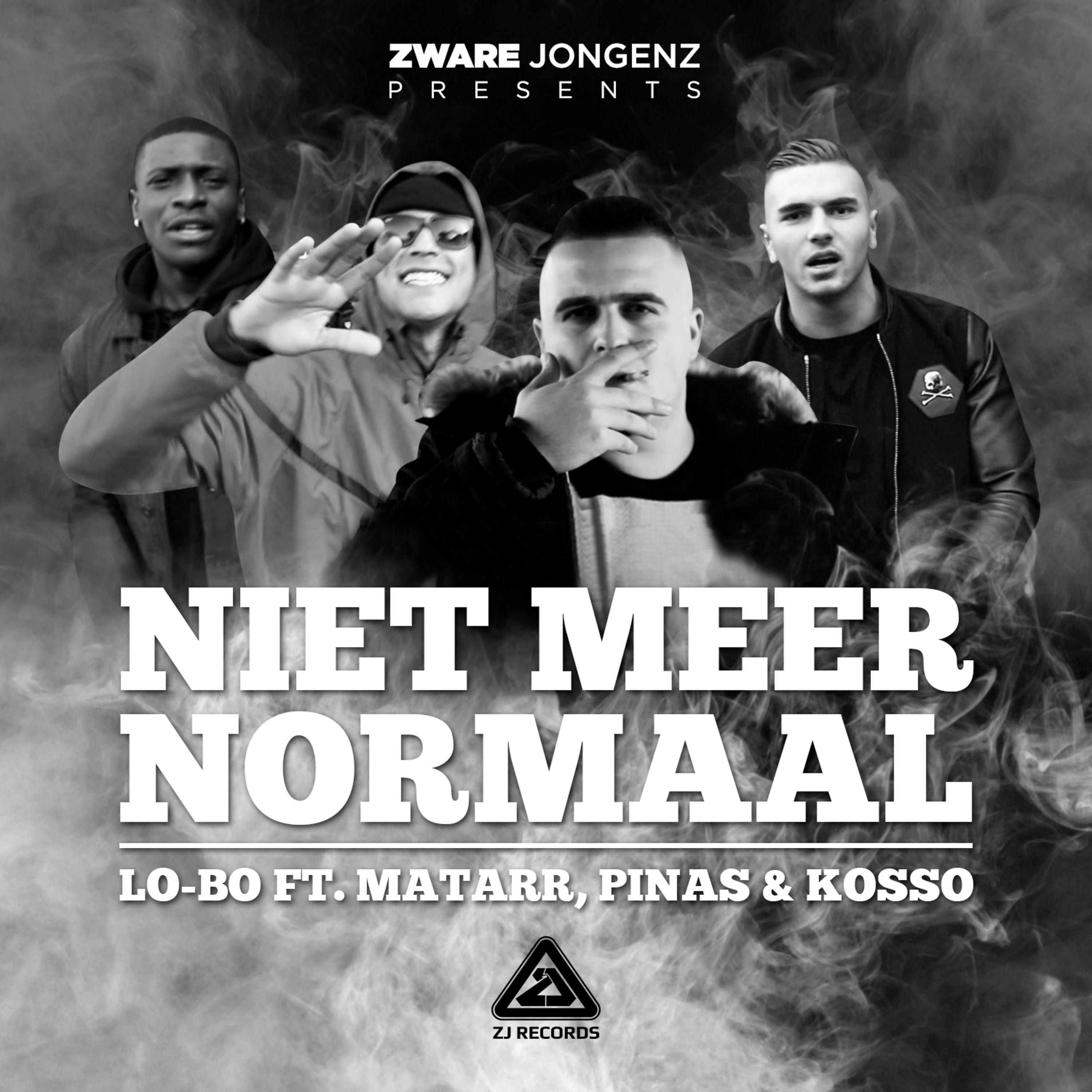 Постер альбома Niet Meer Normaal