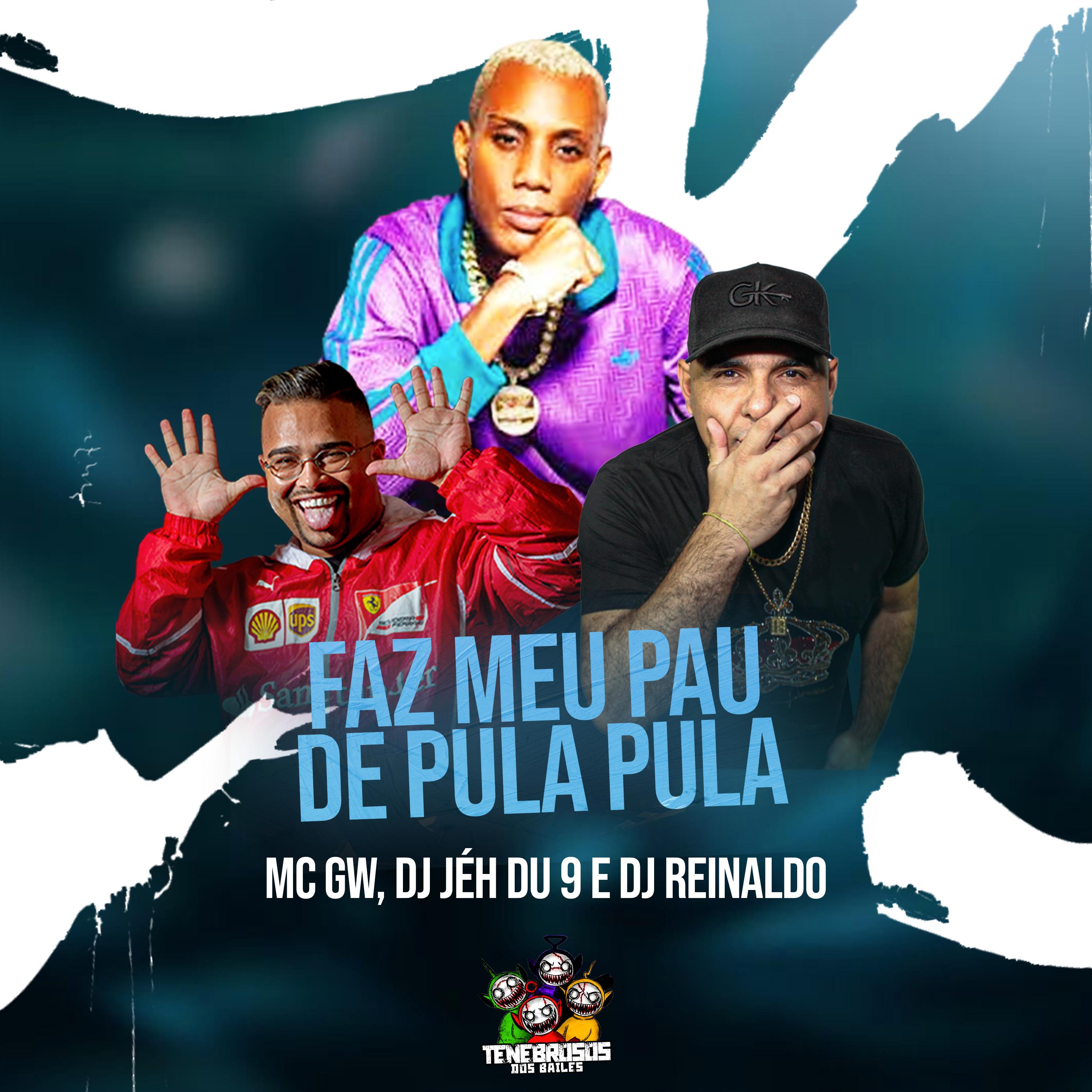 Постер альбома Faz Meu Pau de Pula Pula