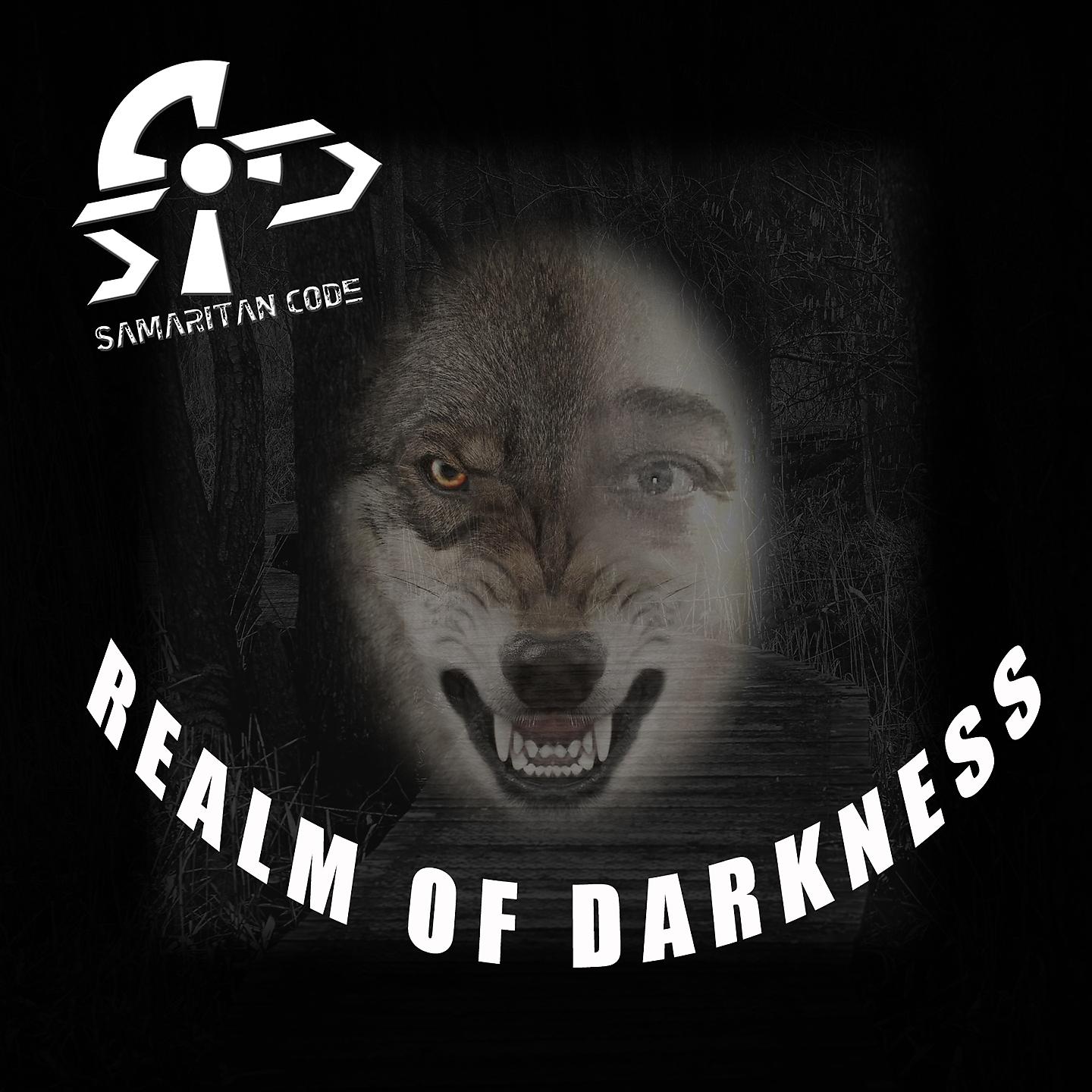 Постер альбома Realm of Darkness