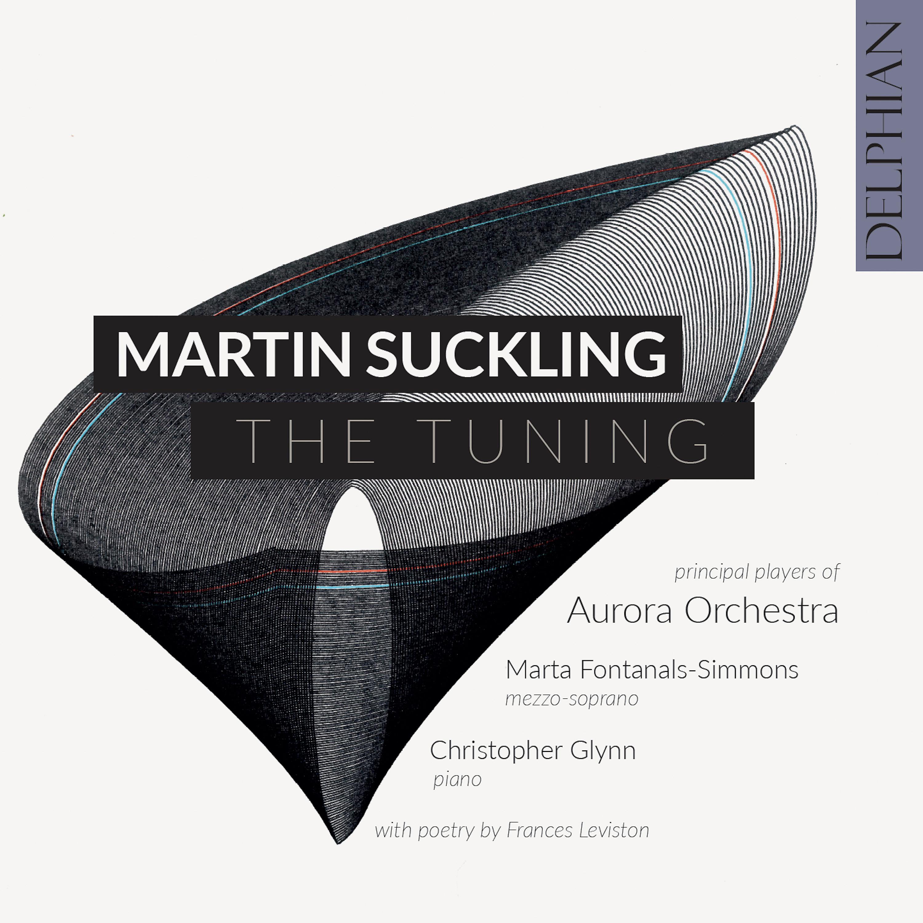 Постер альбома Martin Suckling: The Tuning