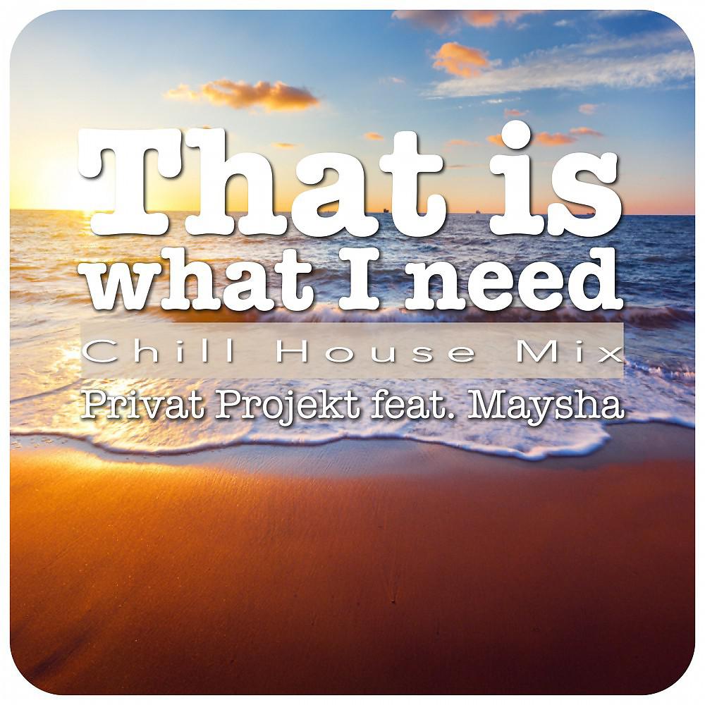 Постер альбома That Is What I Need - Chill House Mix