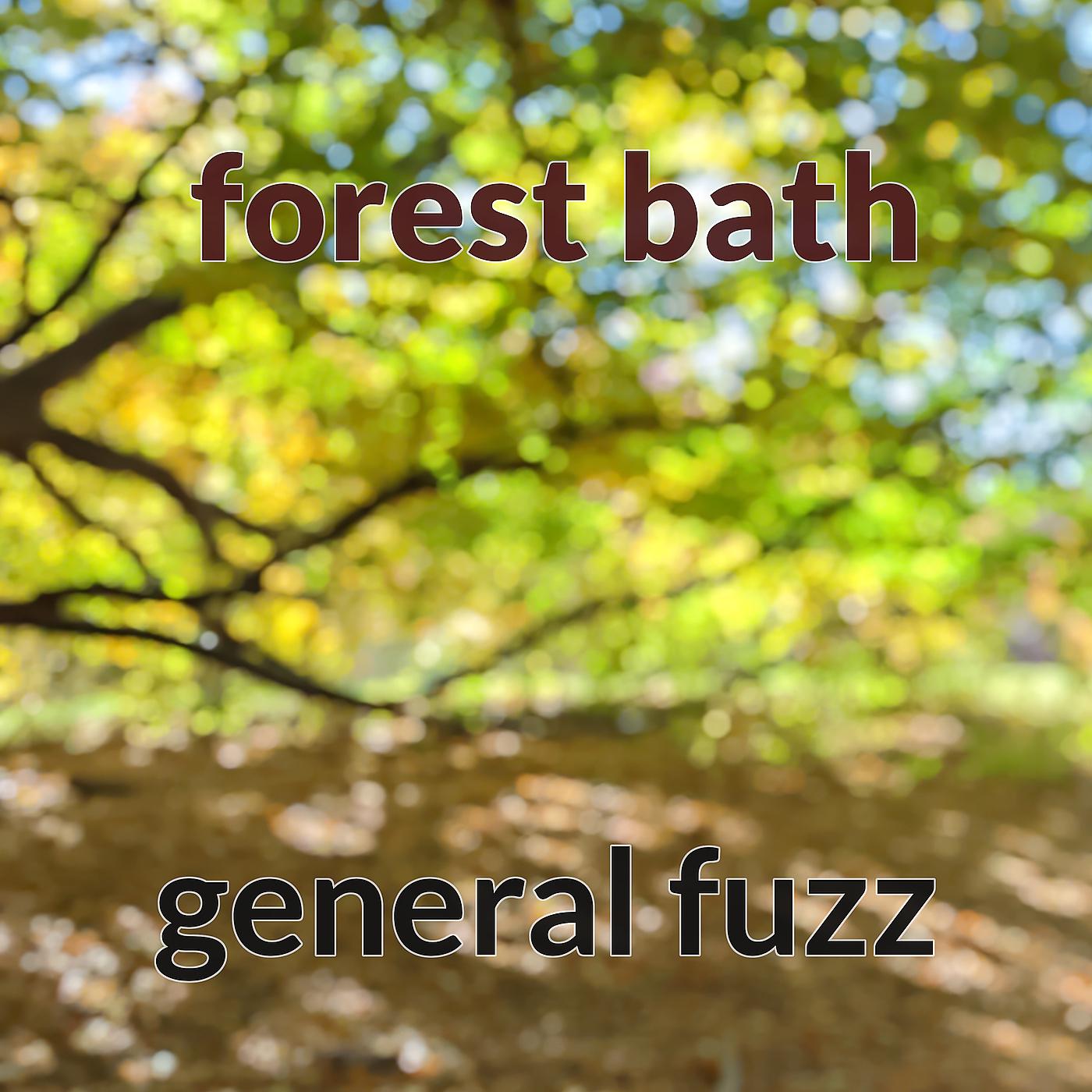 Постер альбома Forest Bath