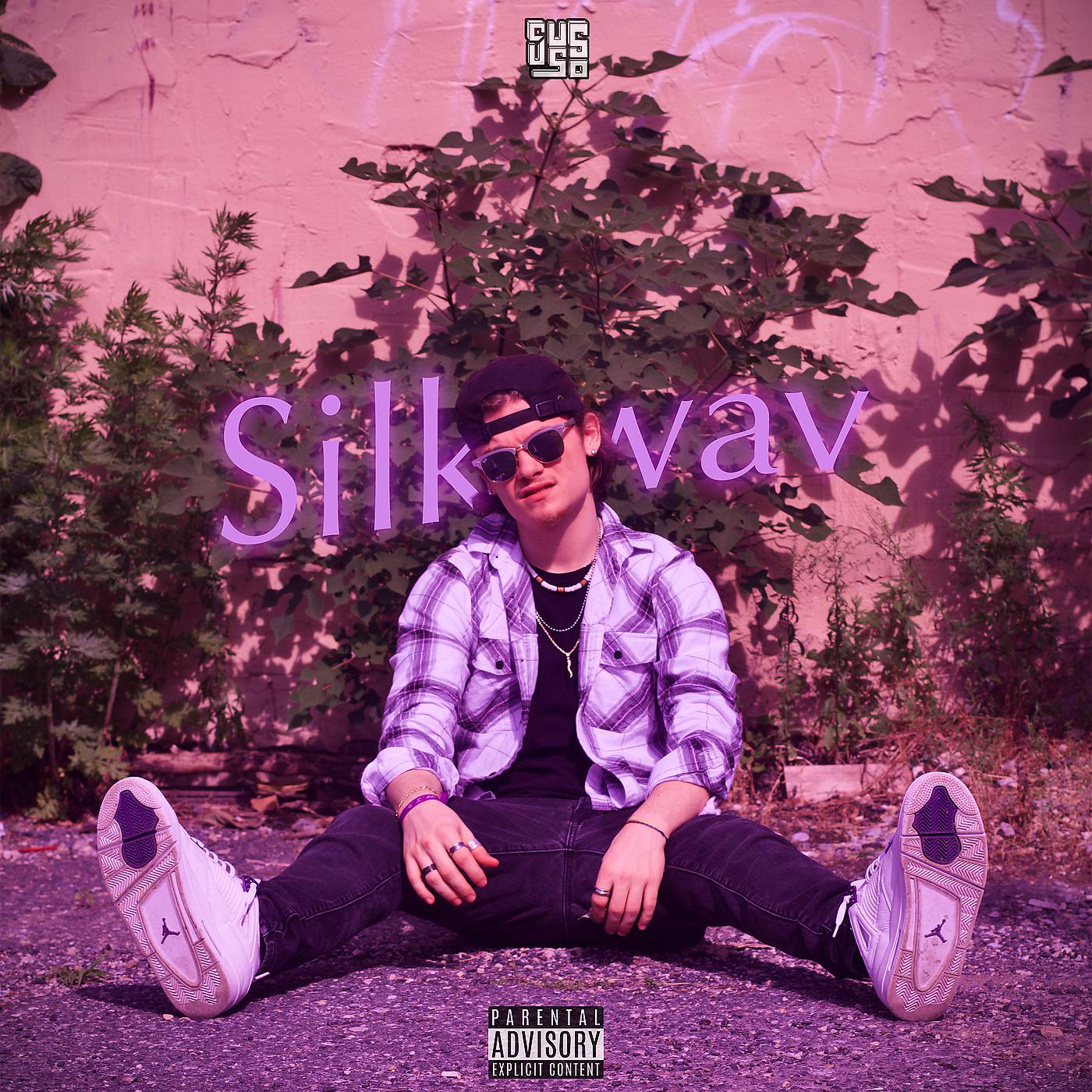 Постер альбома Silk.Wav