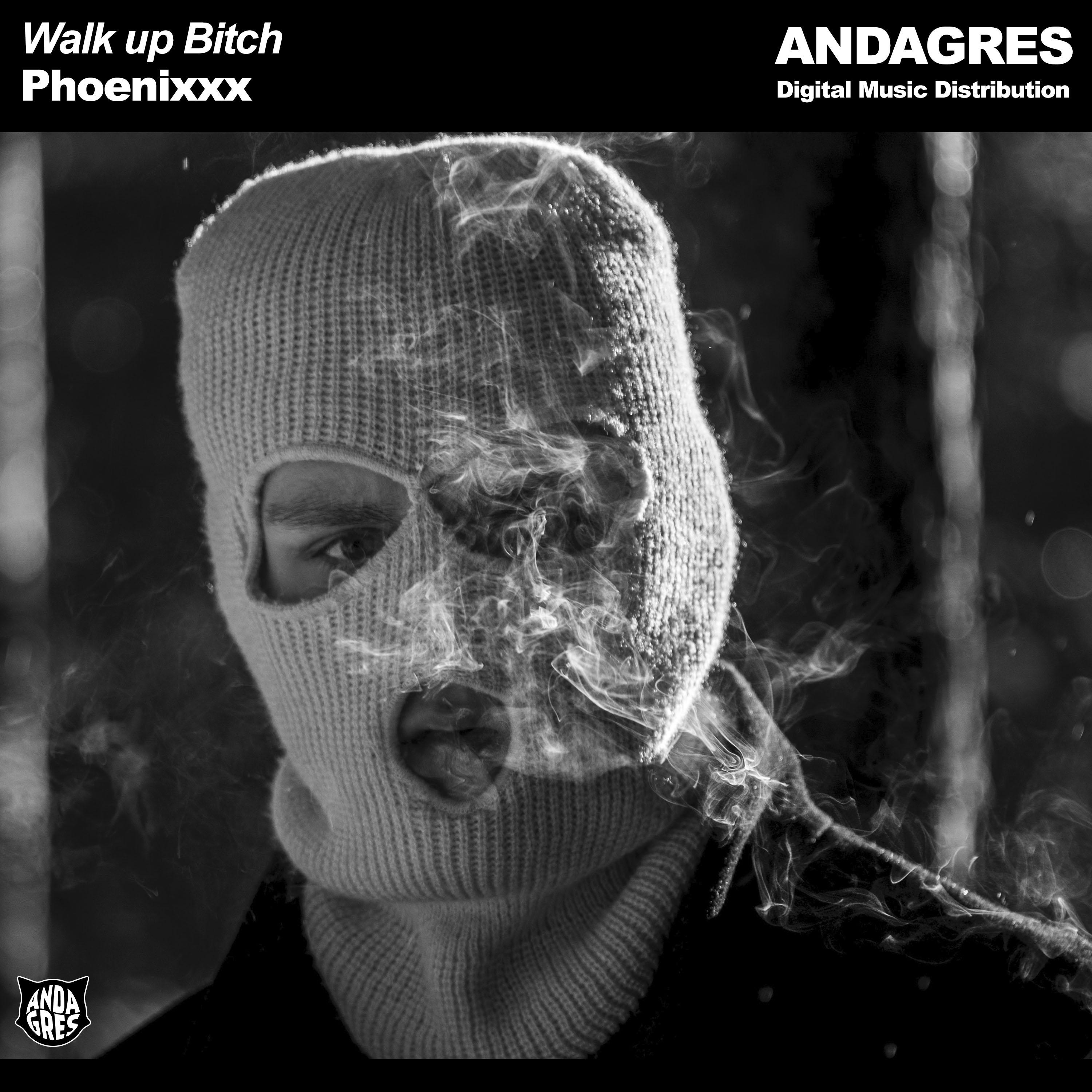 Постер альбома Walk Up Bitch