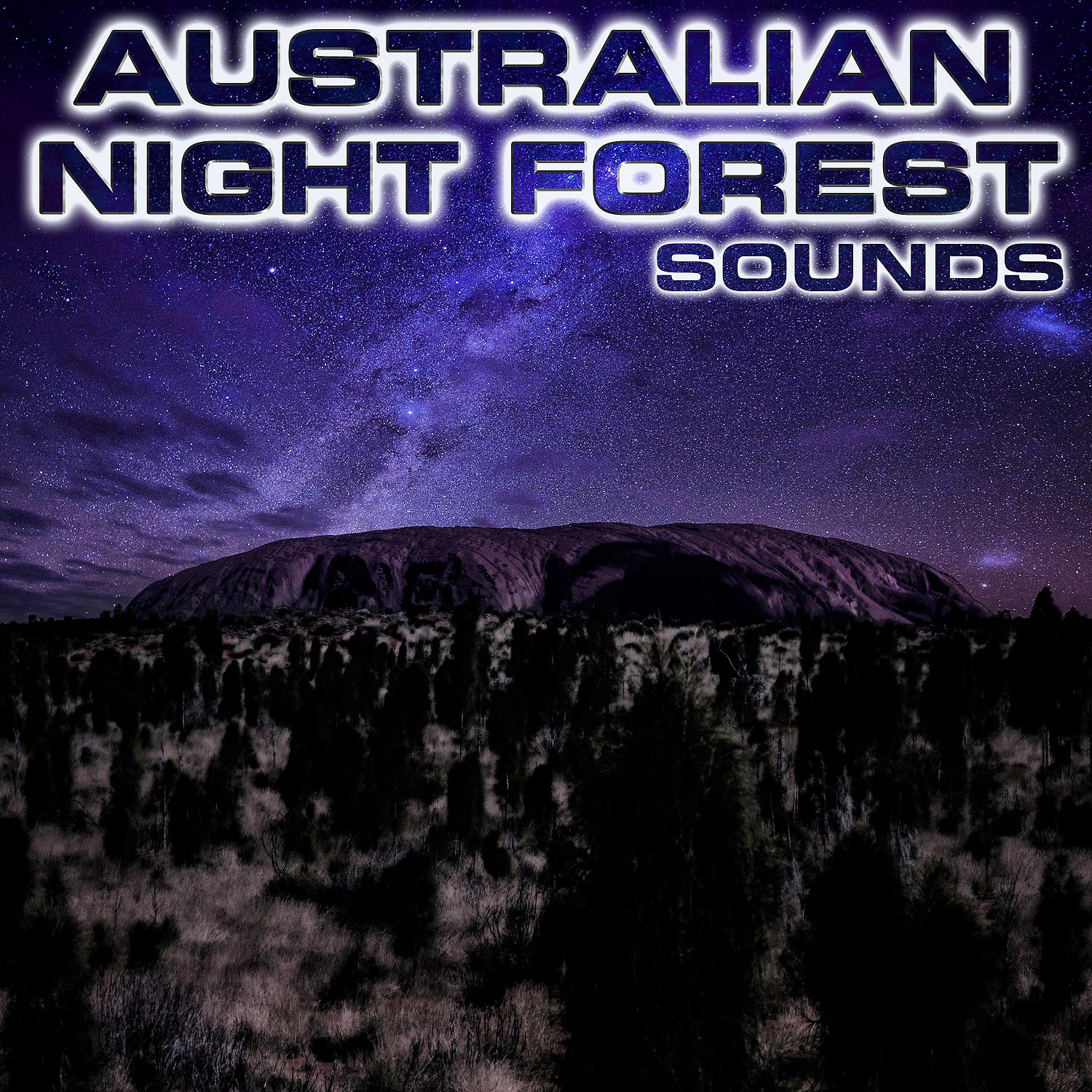 Постер альбома Australian Night Forest Sounds (feat. White Noise Sounds For Sleep, Relaxing Nature Sound, National Geographic Soundscapes, White Noise Ambience, Soothing Sounds & Soothing Baby Sounds)