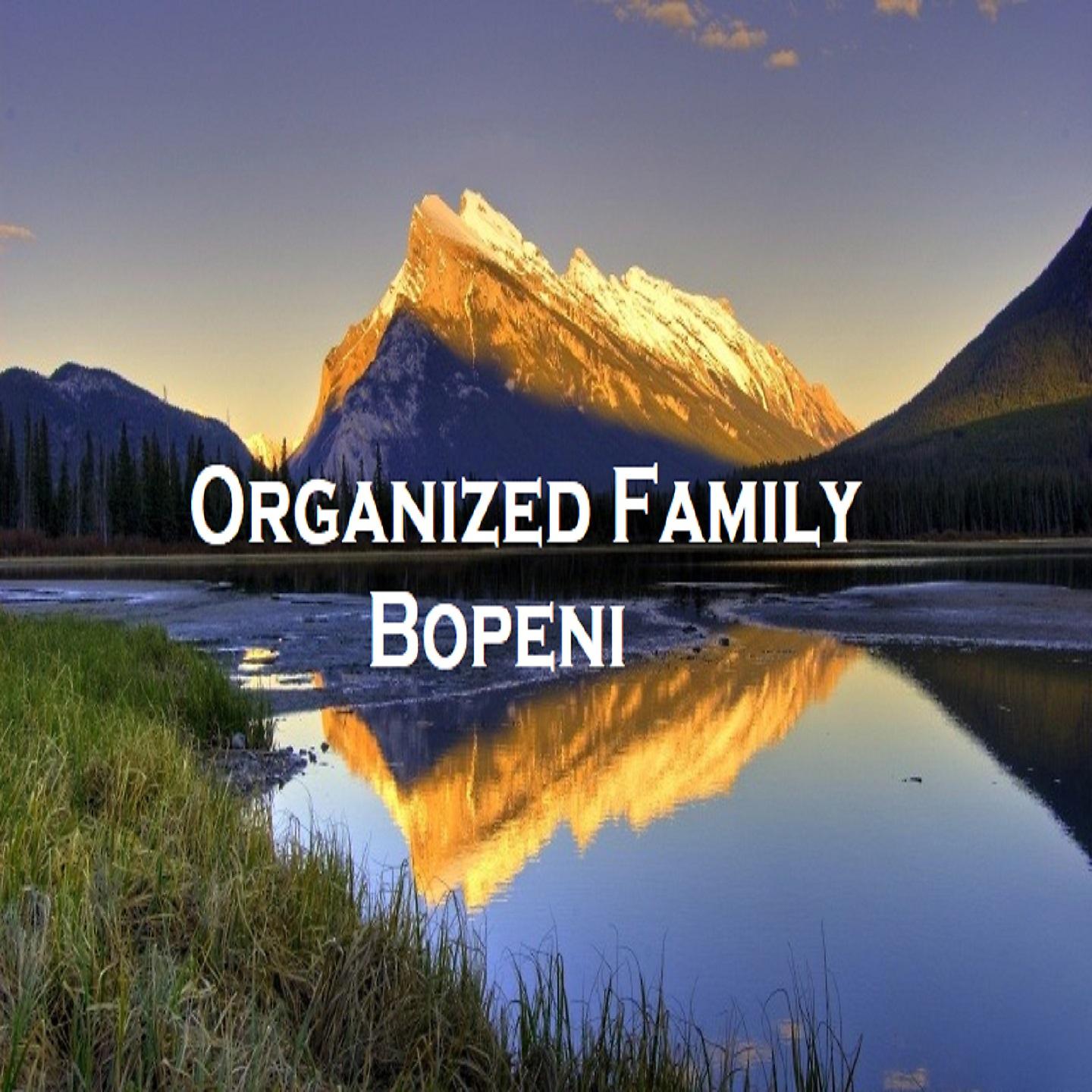 Постер альбома Bopeni