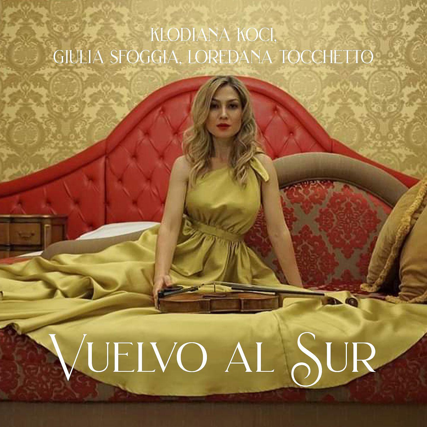 Постер альбома Vuelvo al Sur