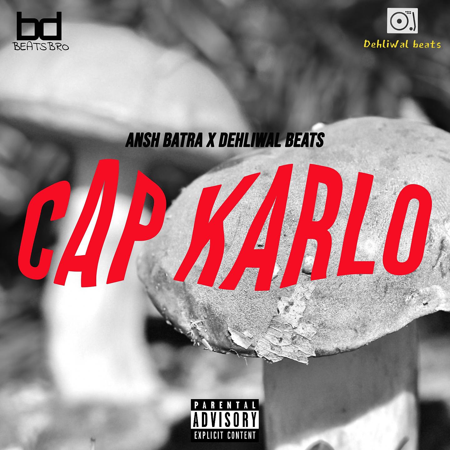 Постер альбома Cap Karlo
