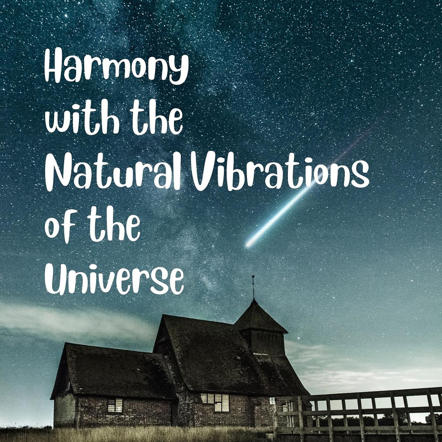 Постер альбома Harmony with the Natural Vibrations of the Universe