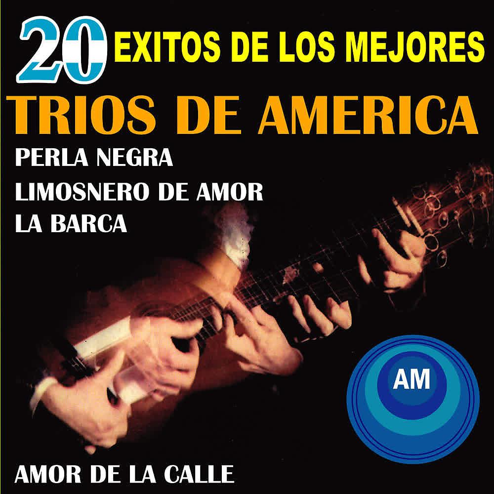 Постер альбома 20 Éxitos de los Mejores Tríos de América