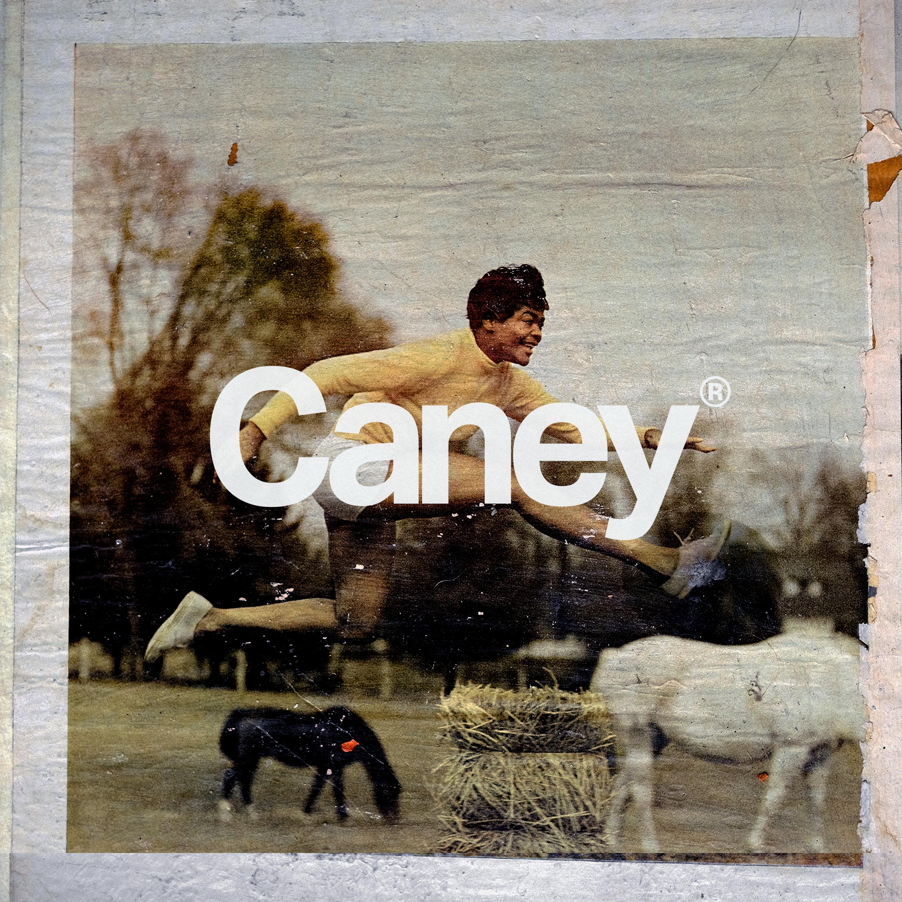 Постер альбома Caney